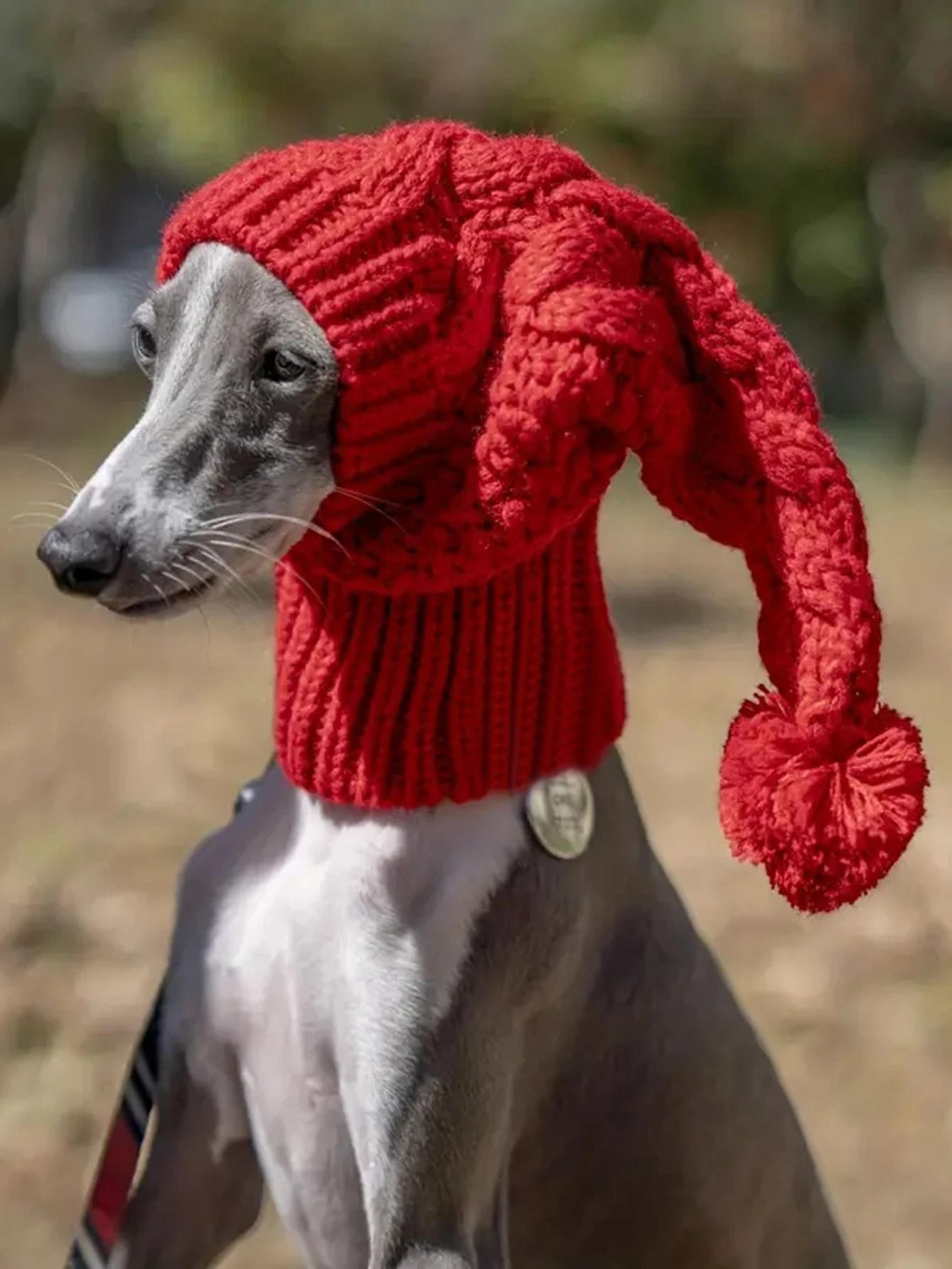hand knit wool greyhound snood beanie for whippets & large dogs