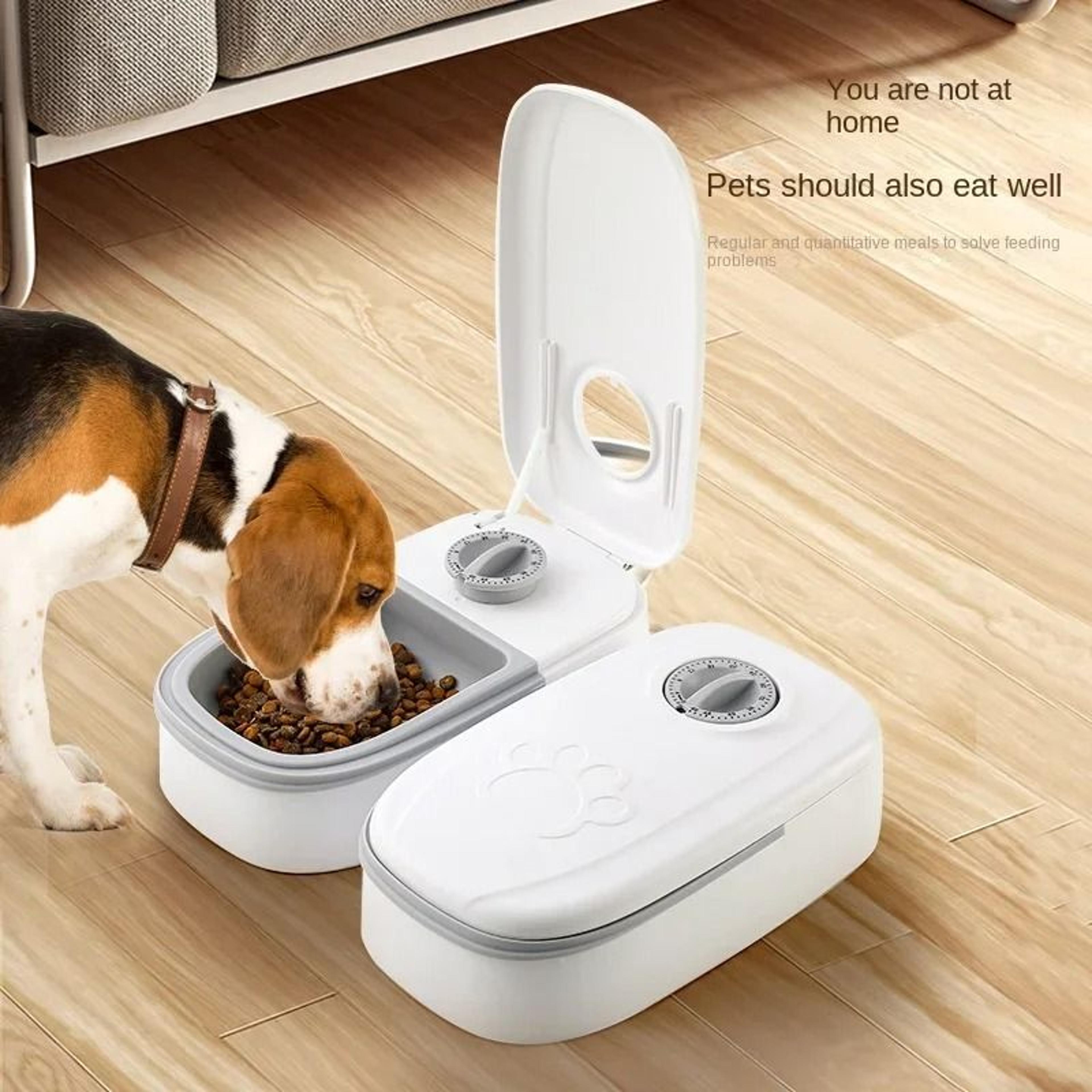 automatic pet feeder & water dispenser with timer for cats & dogs