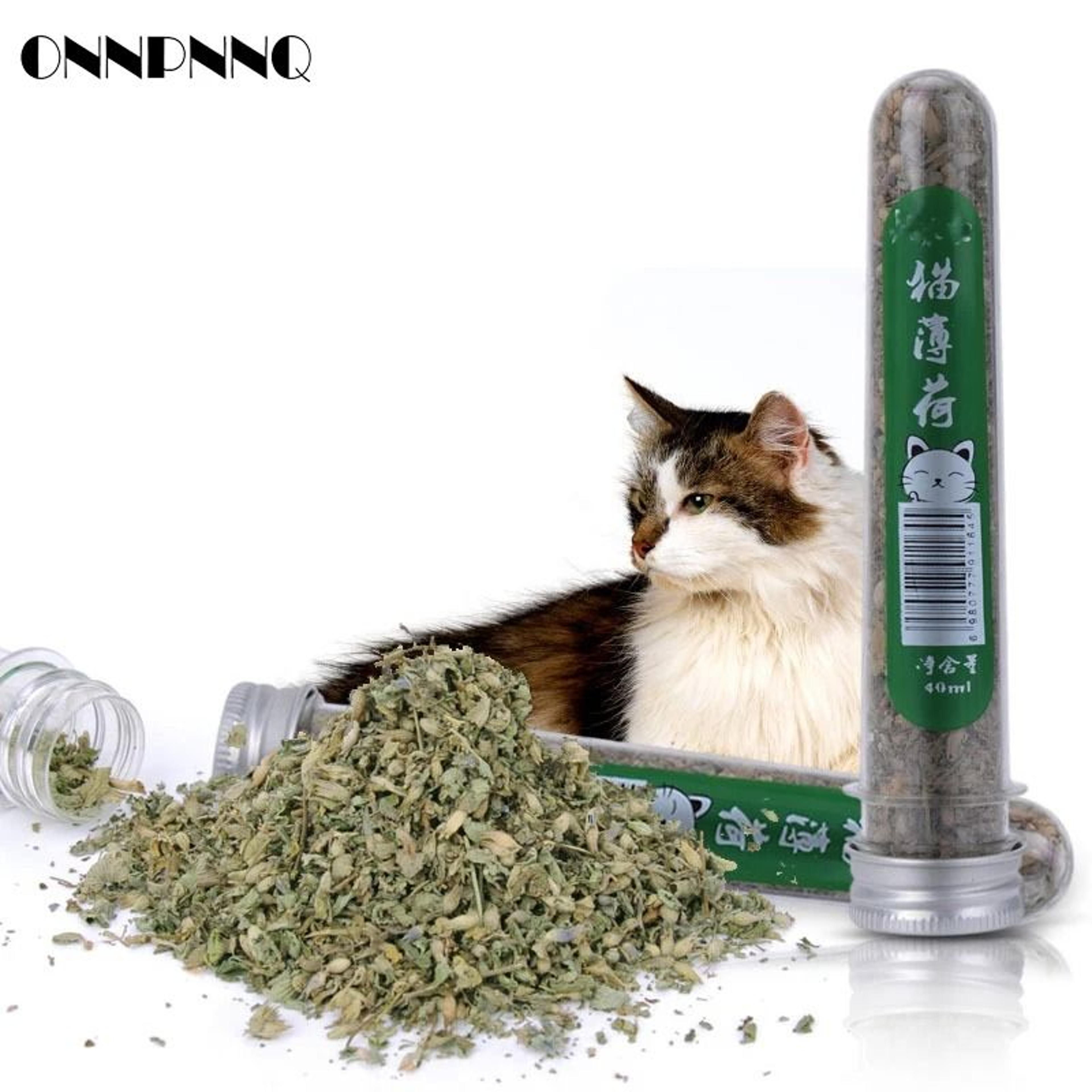 natural catnip treat tube for cats and kittens