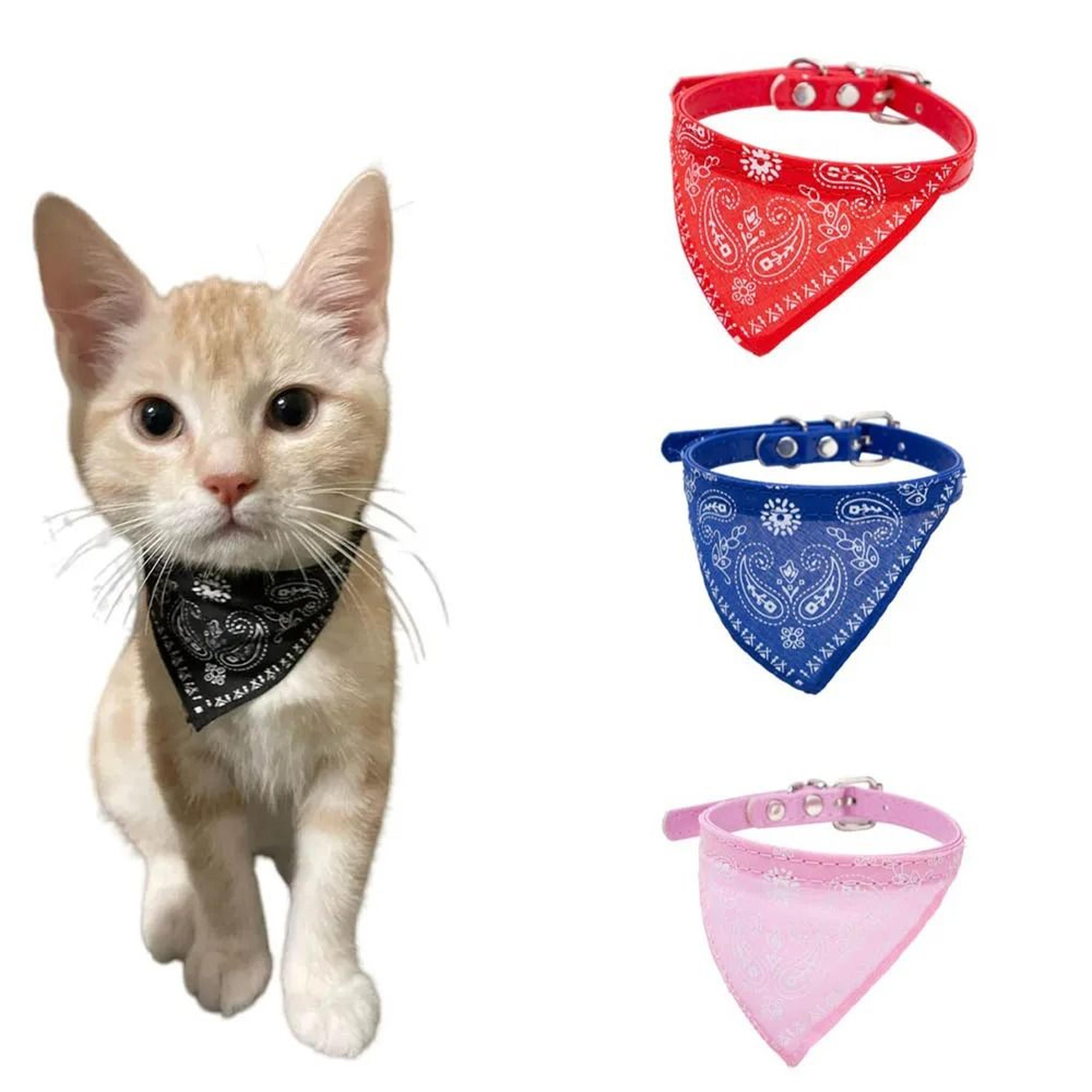 paws & prints adjustable pet bandana collar for cats and small dogs