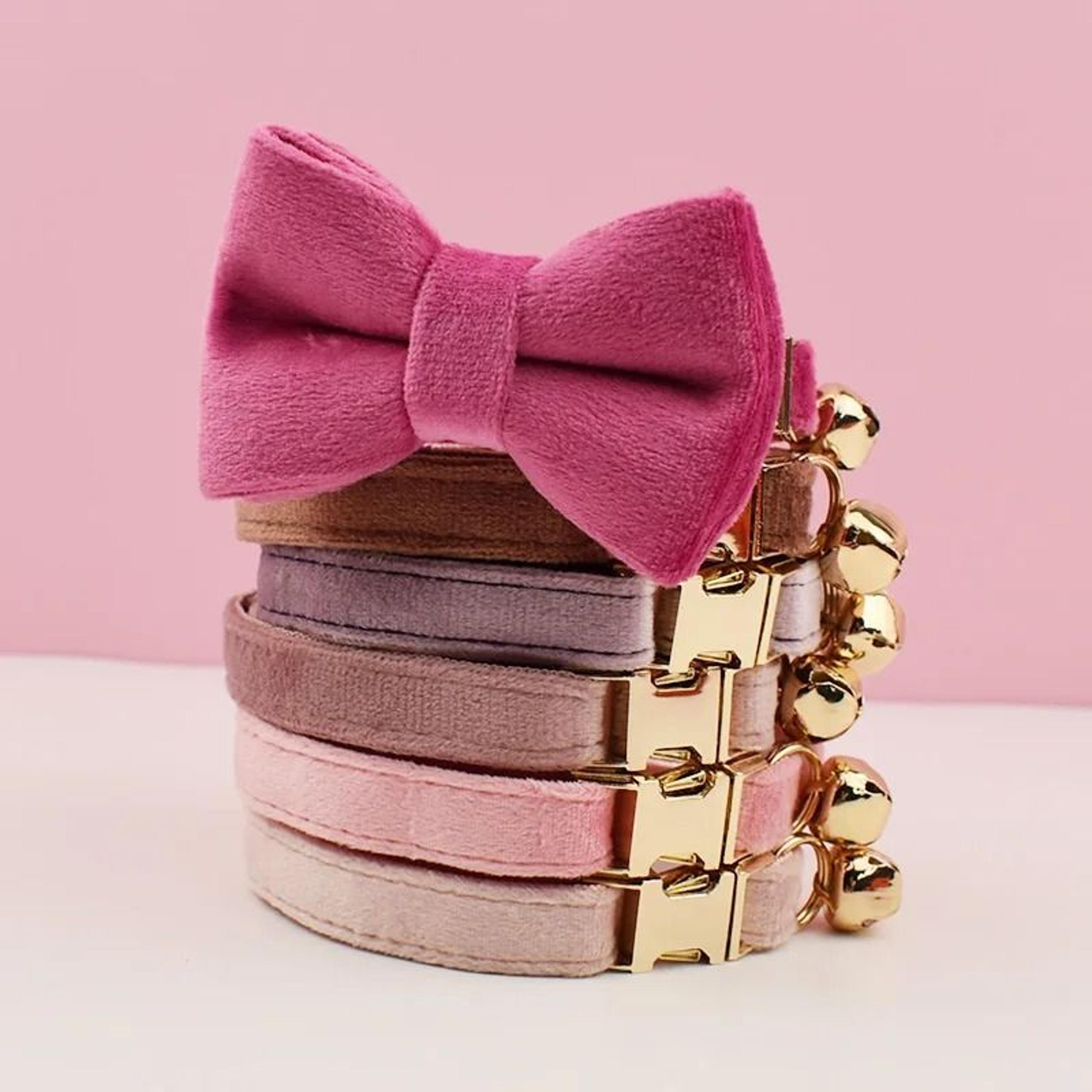 personalized velvet cat collar with engraved name plate, bow tie & bell