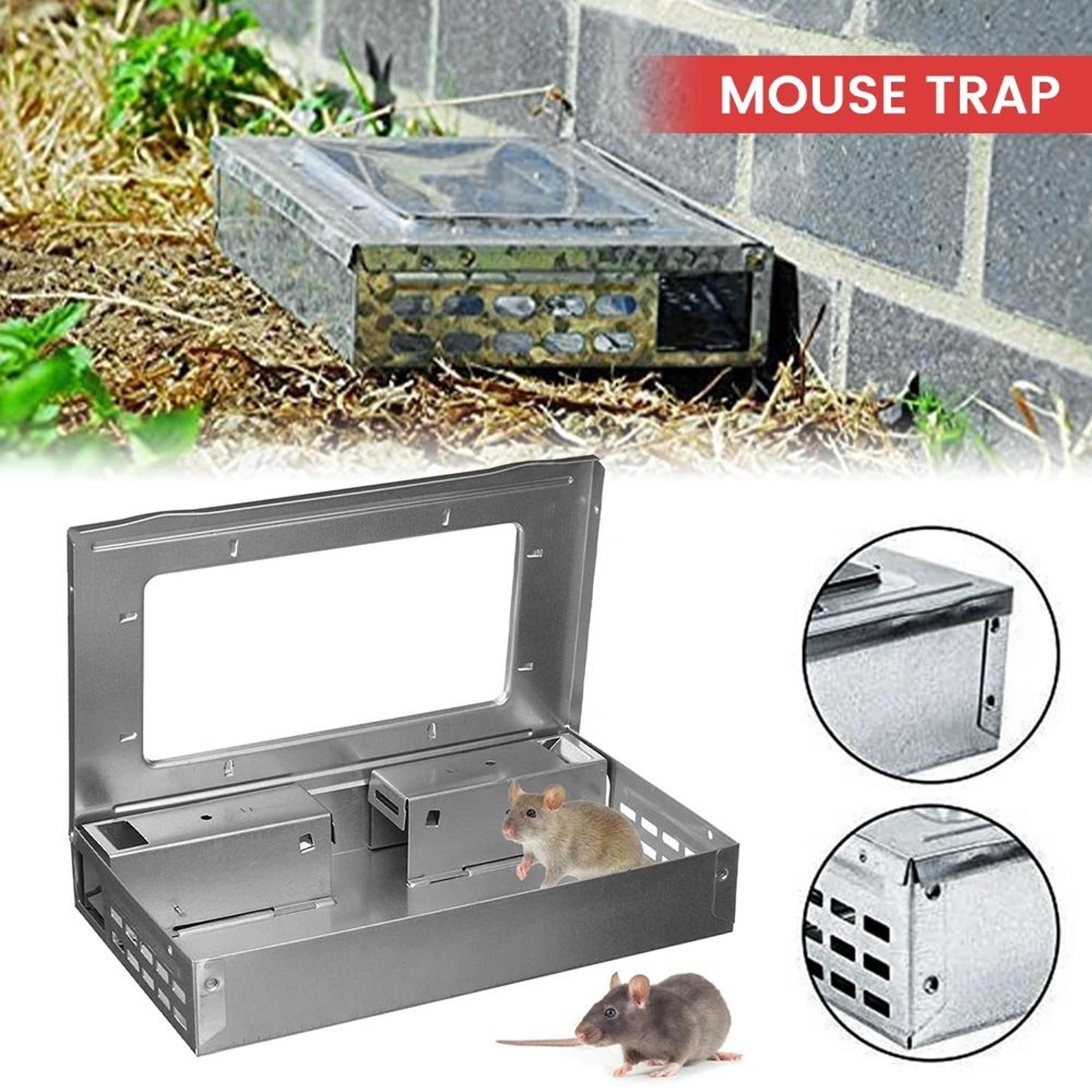reusable covered mouse catcher