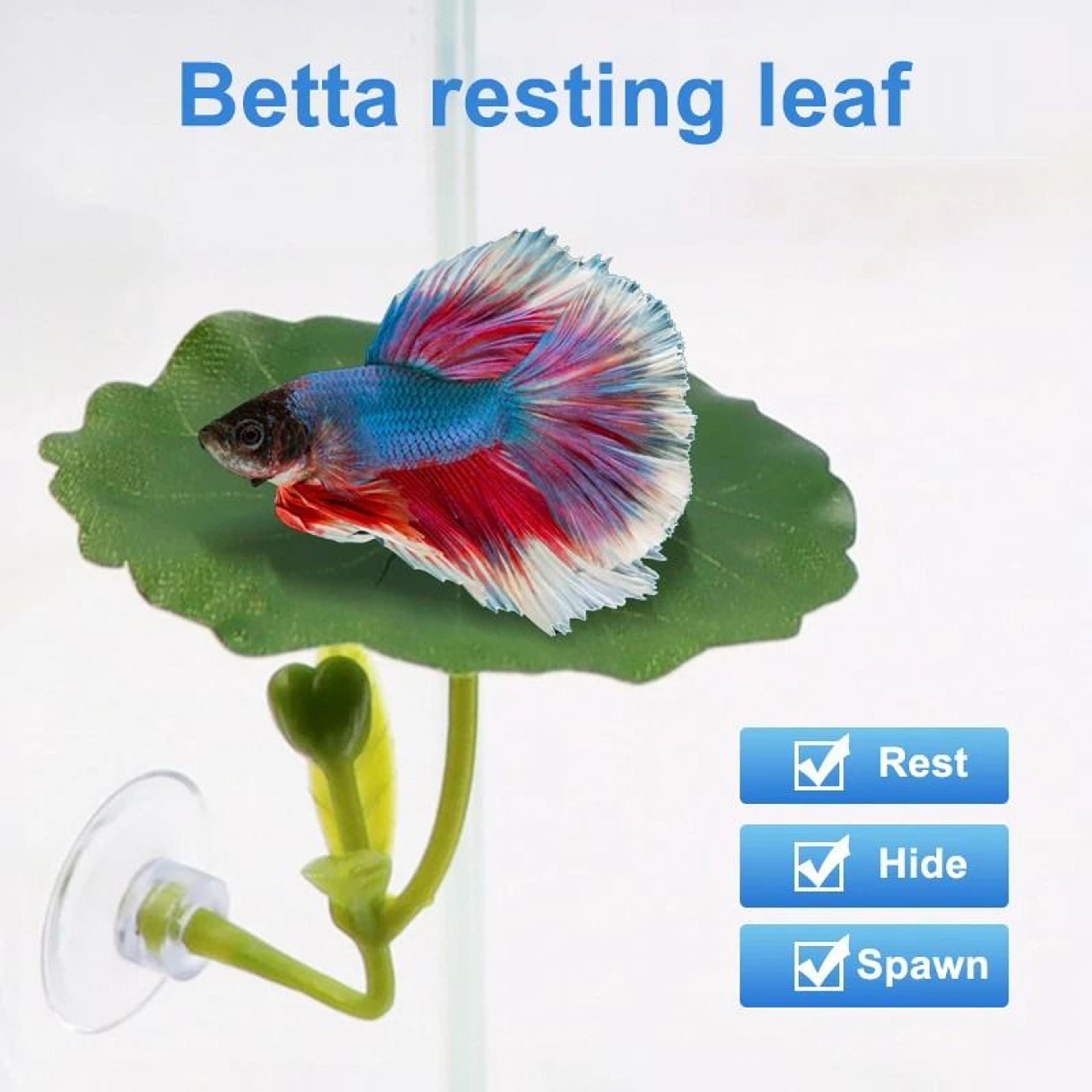 betta fish leaf hammock with suction cup aquarium resting plant decor