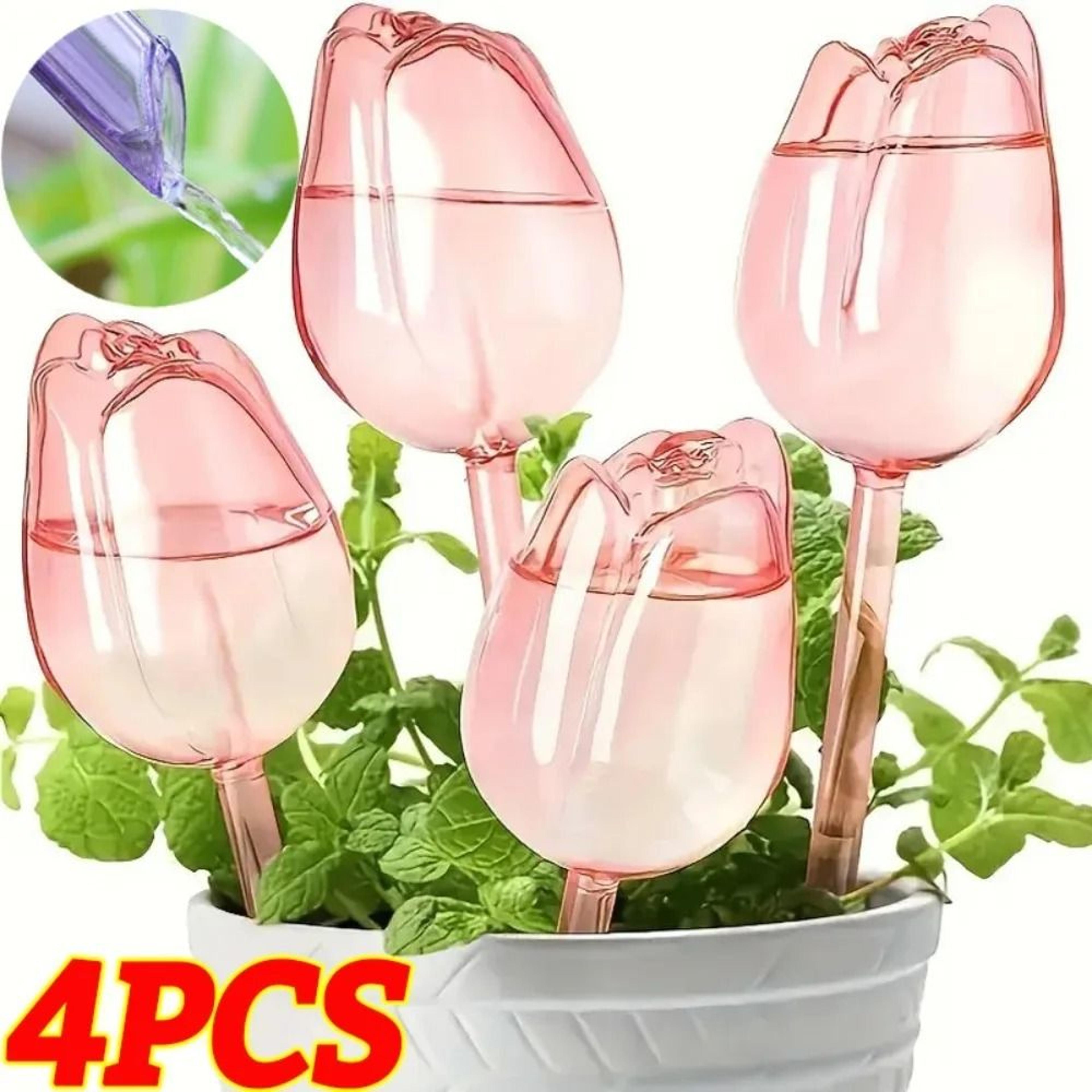 self watering plant globes automatic drip irrigation watering bulbs for indoor & outdoor plants