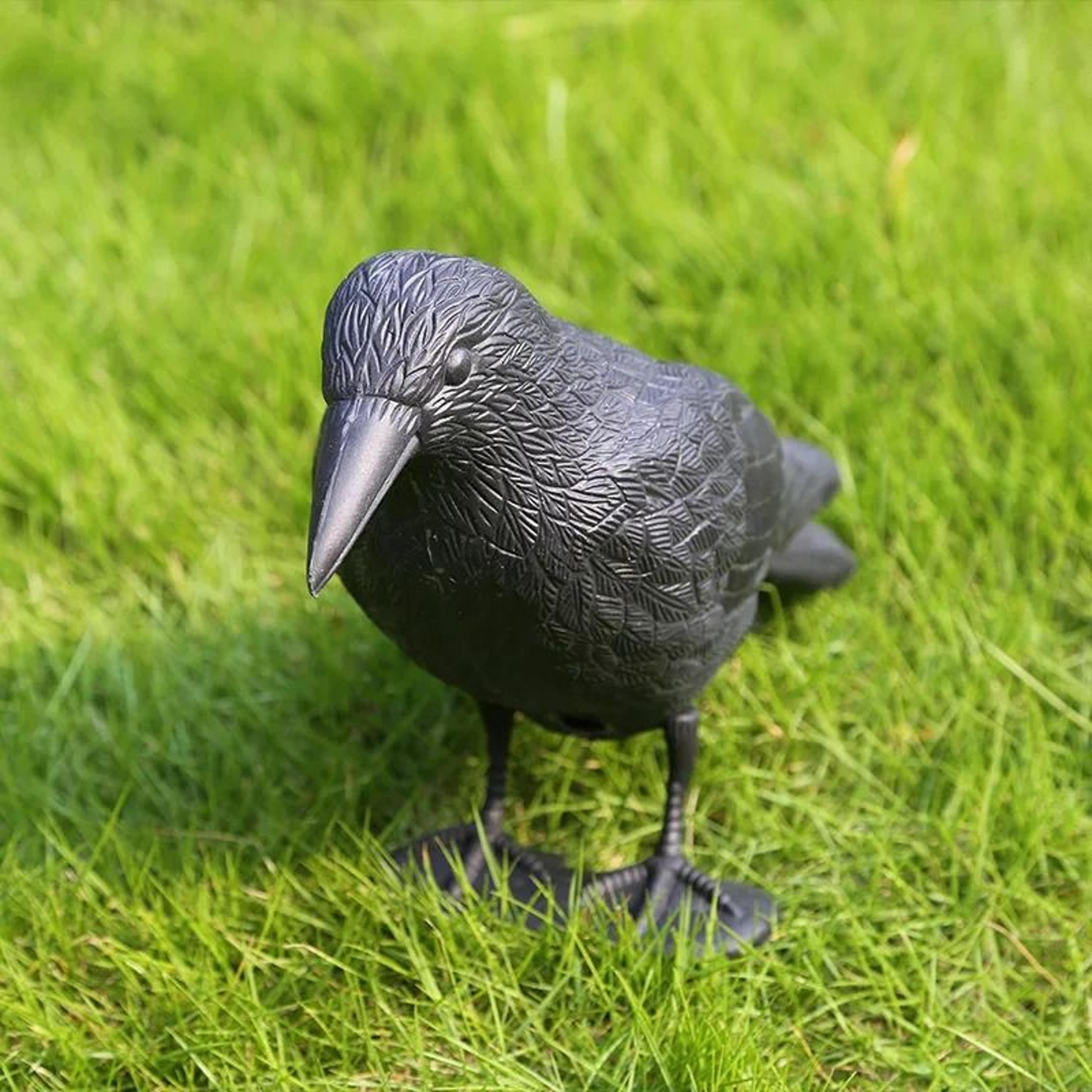 realistic black raven crow decoration bird repellent for halloween and garden display