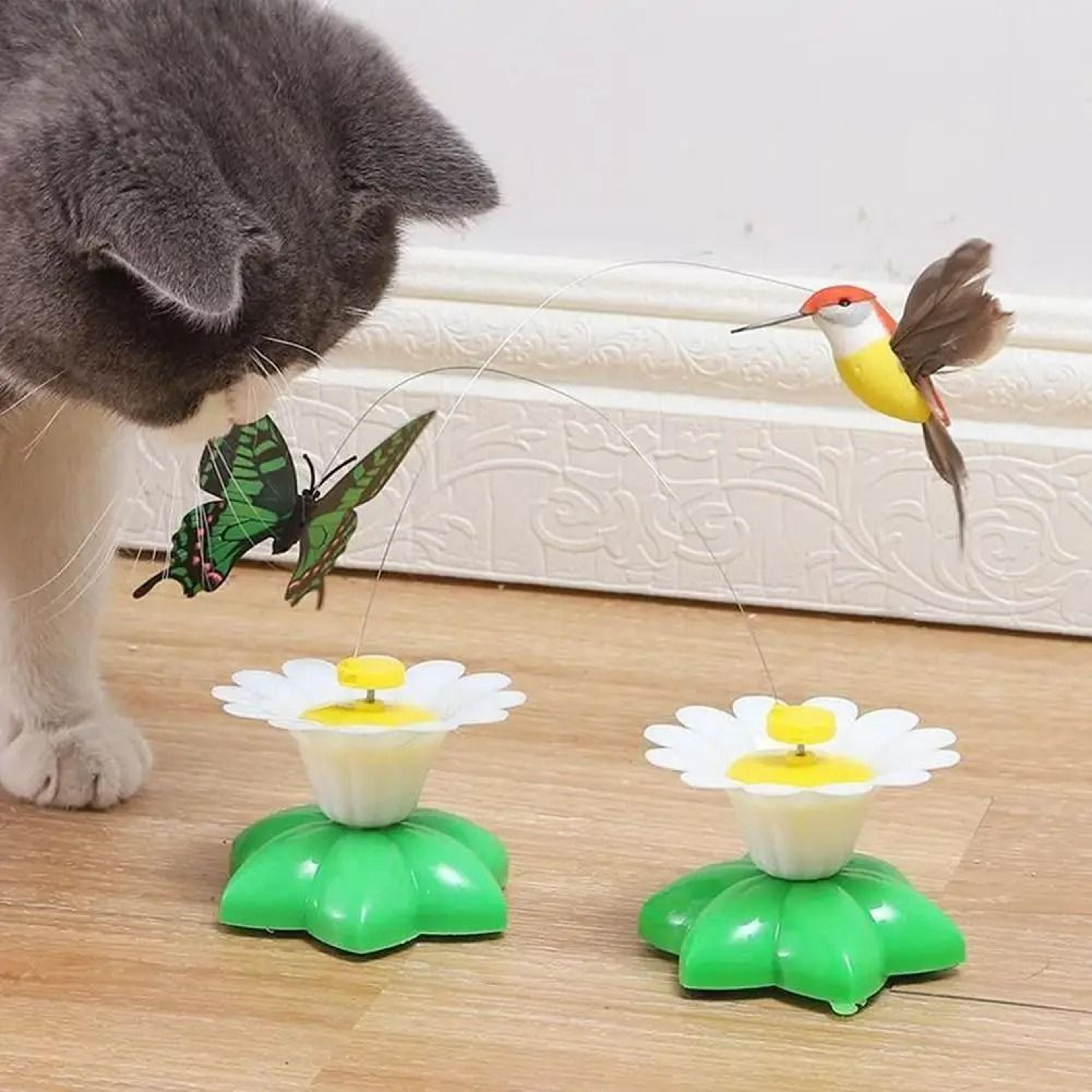 flutterchase electric cat toy