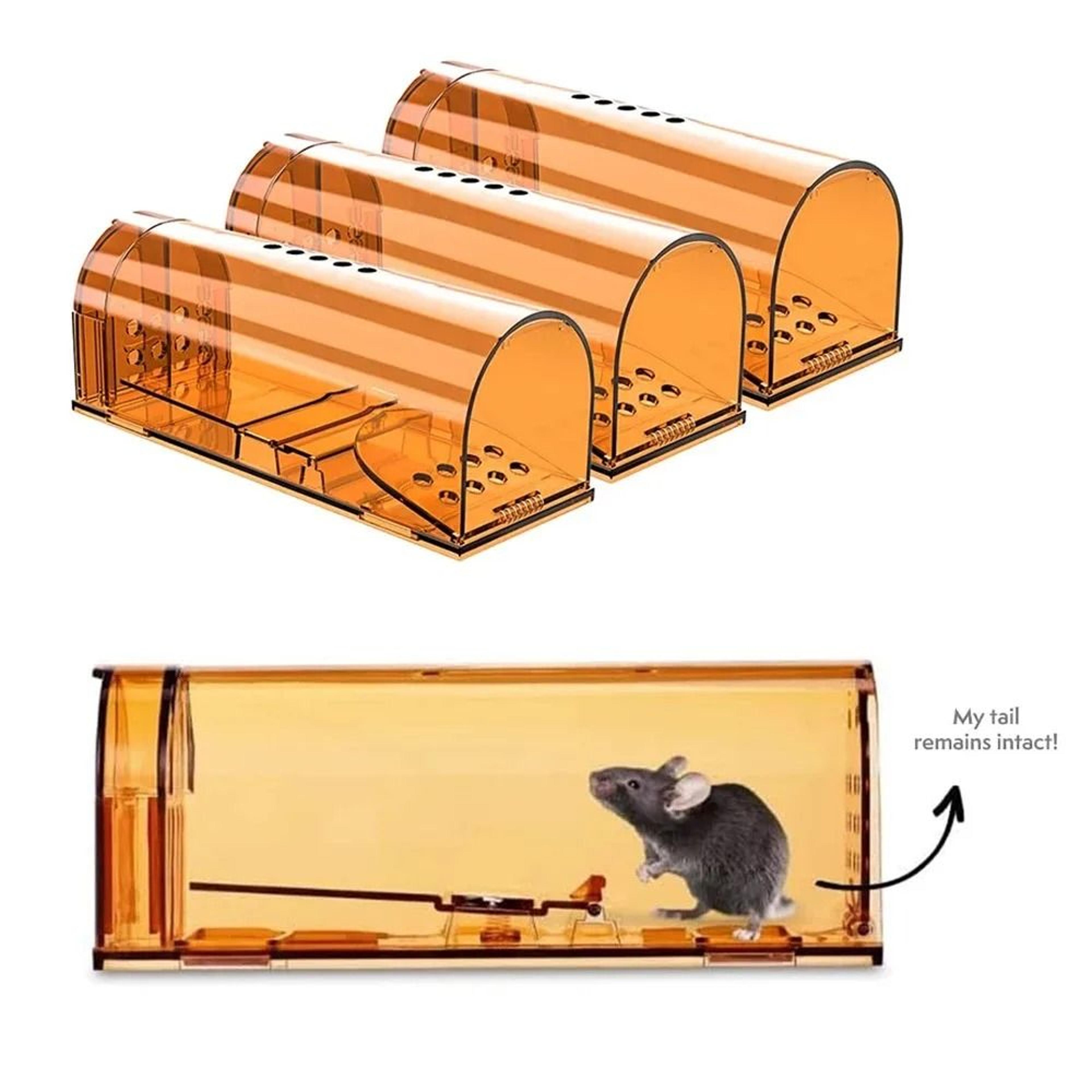 catchkind live mouse trap