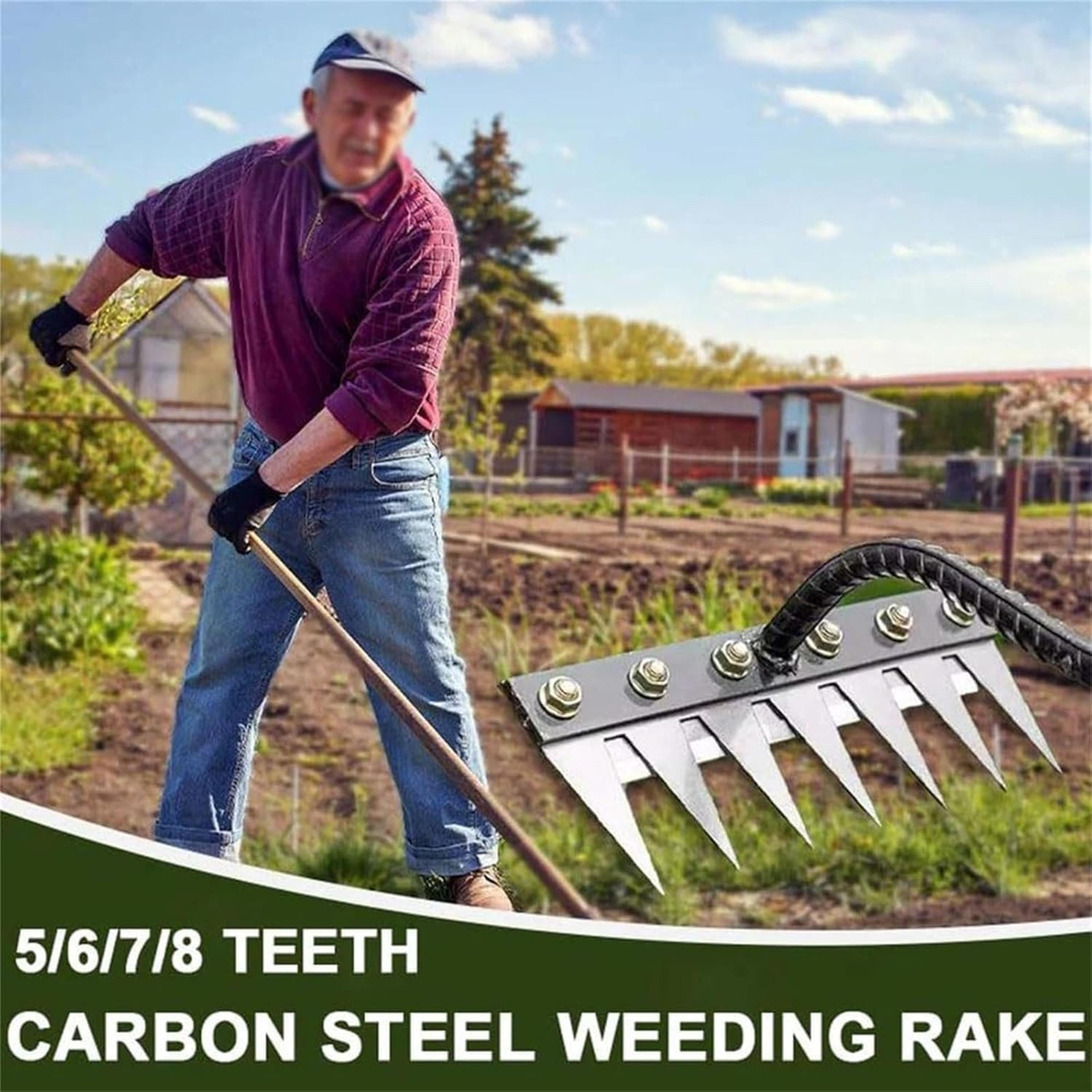 carbon steel garden hand rake – 5 to 8 teeth weeding & soil scarifier tool for farming & landscaping