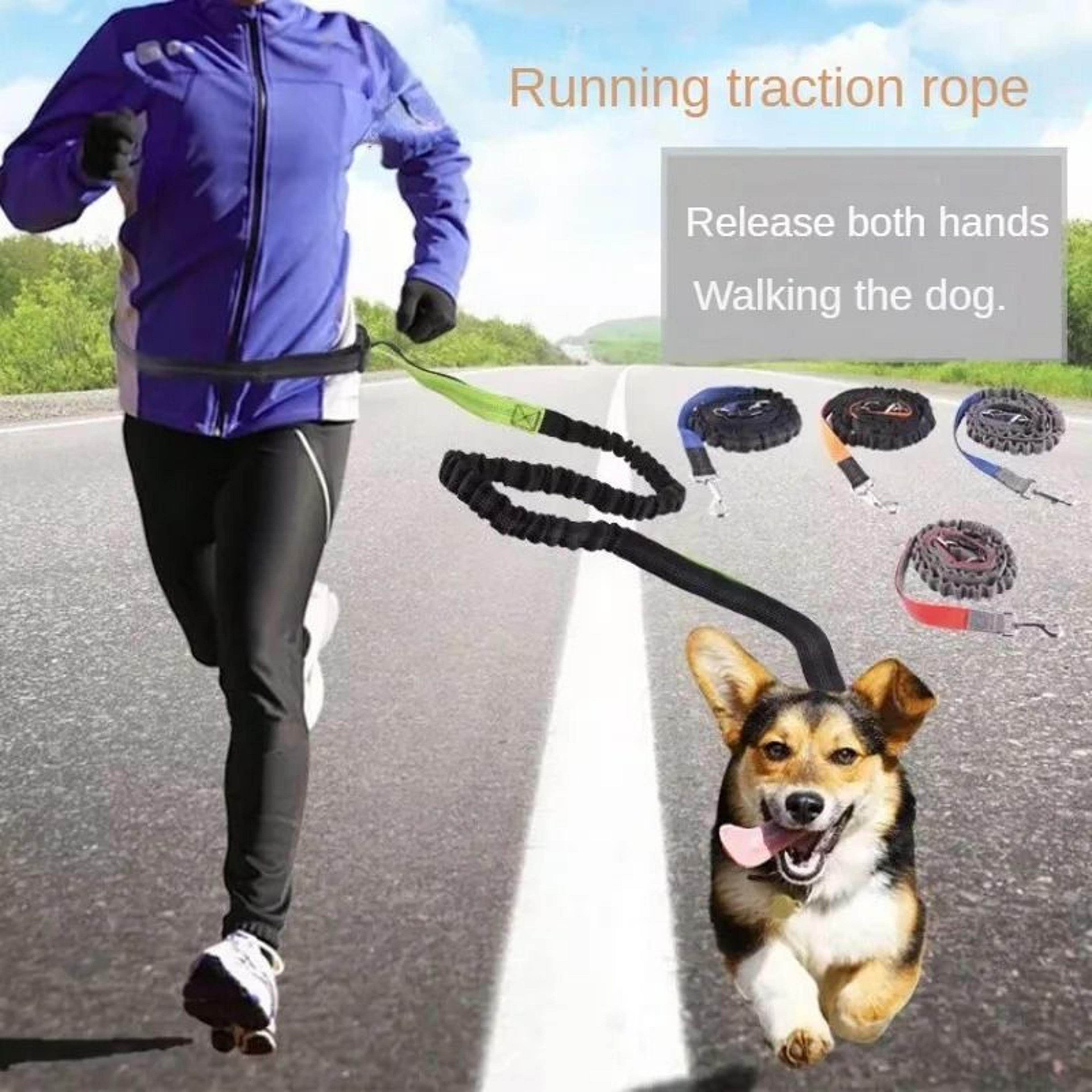 hand free dog leash waist belt chest strap set