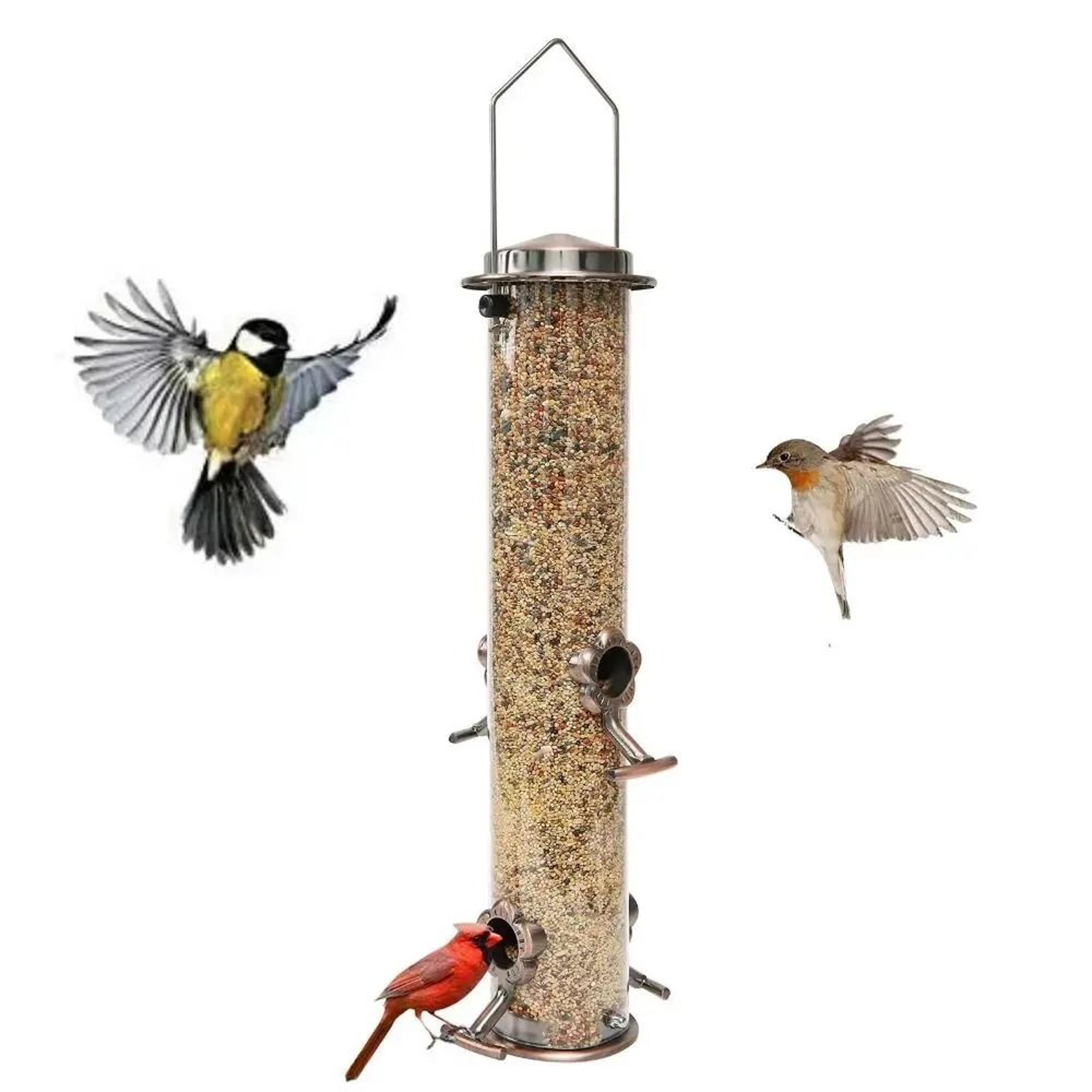 automatic waterproof metal bird feeder with transparent food dispenser bowl