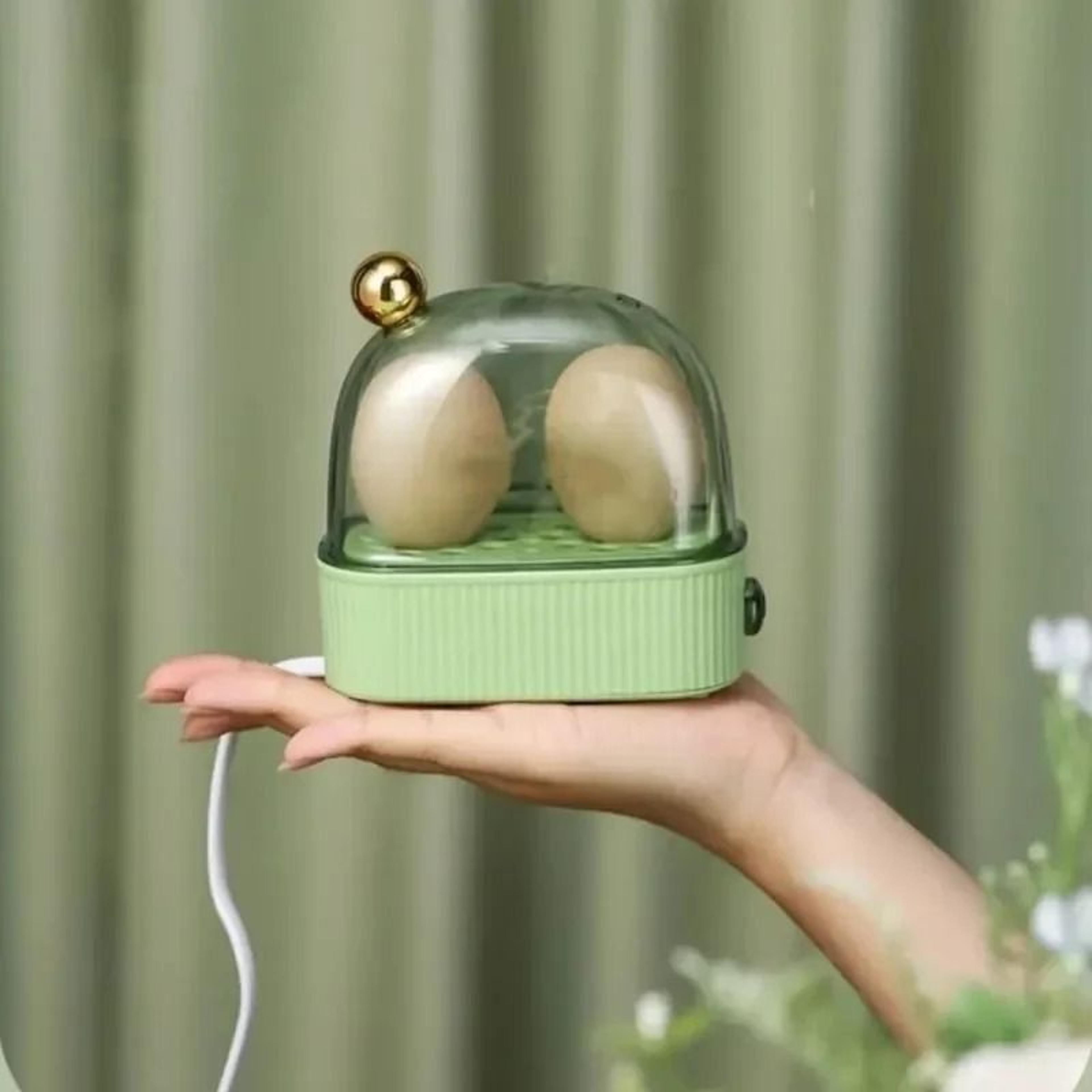 electric egg boiler automatic cooker portable 2 egg steamer