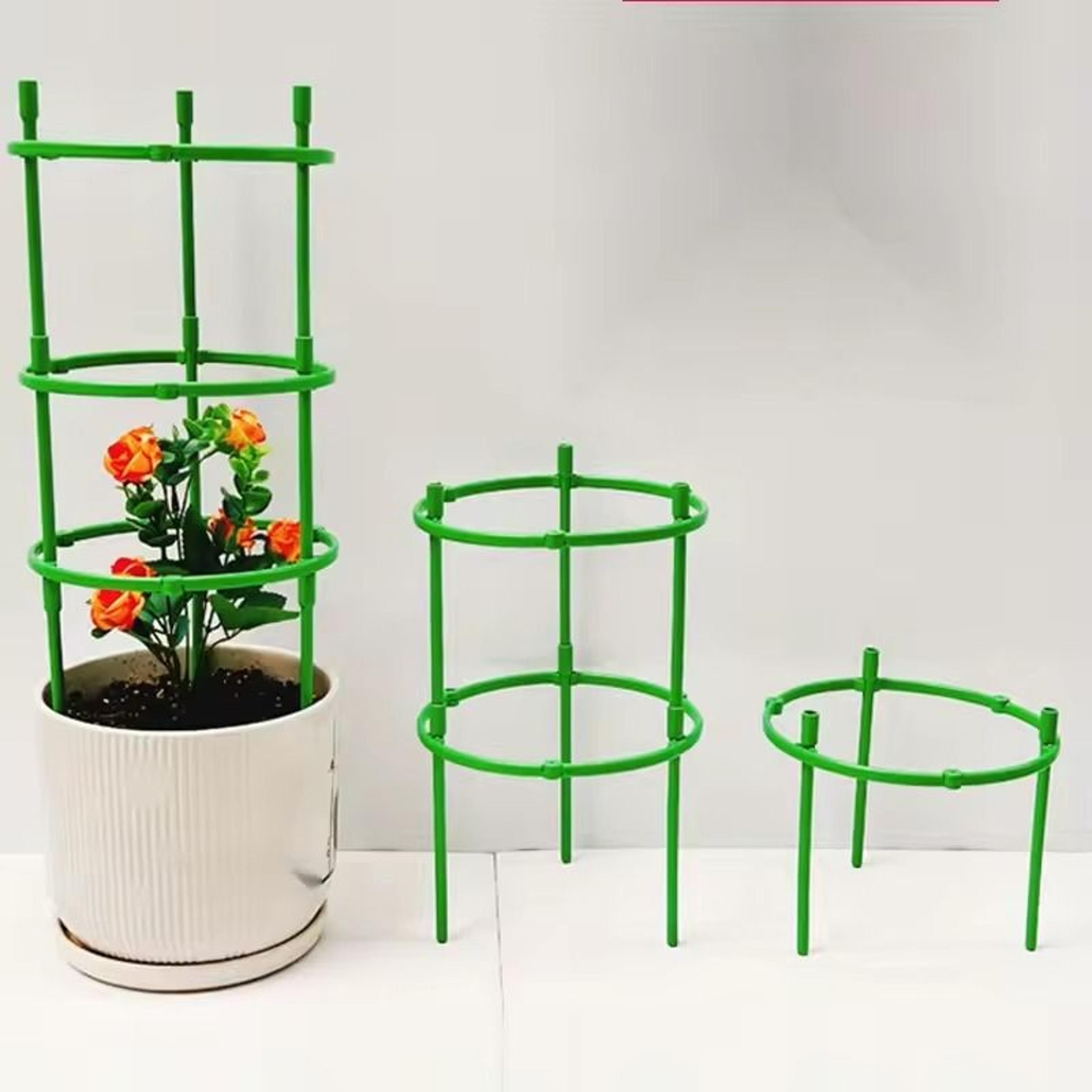 rust resistant tomato cage plant support for garden veggies