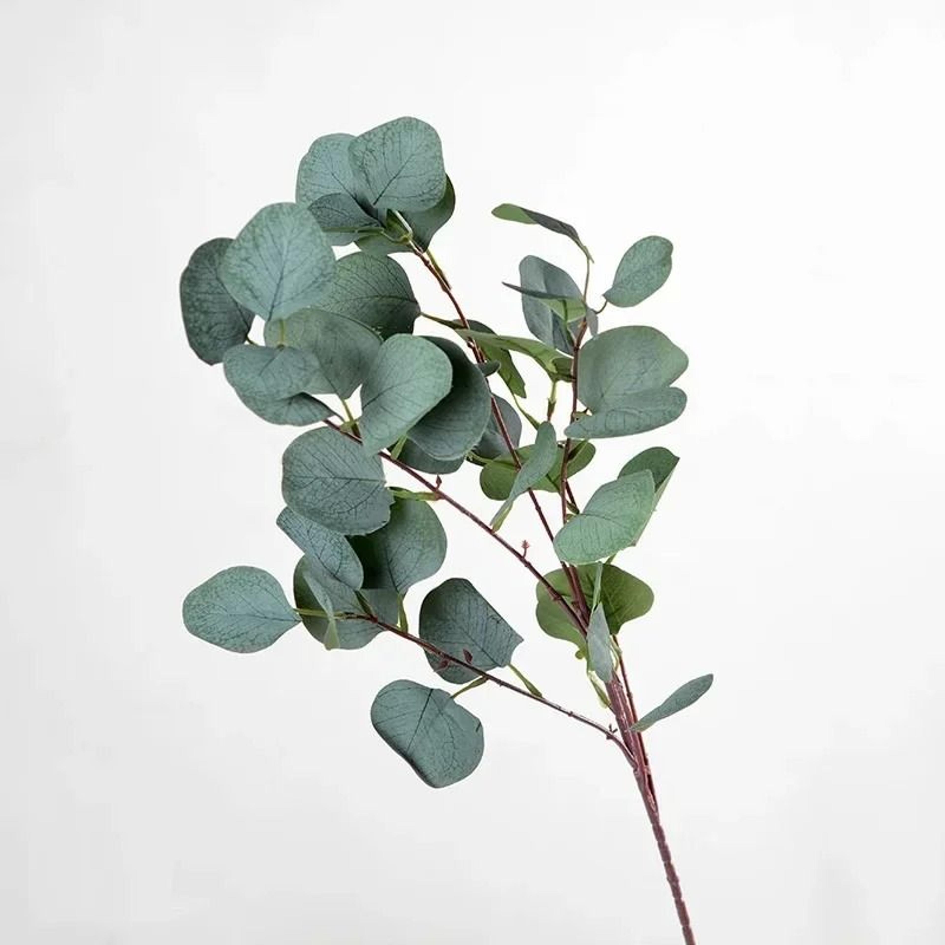 artificial eucalyptus long stem branches for home decor