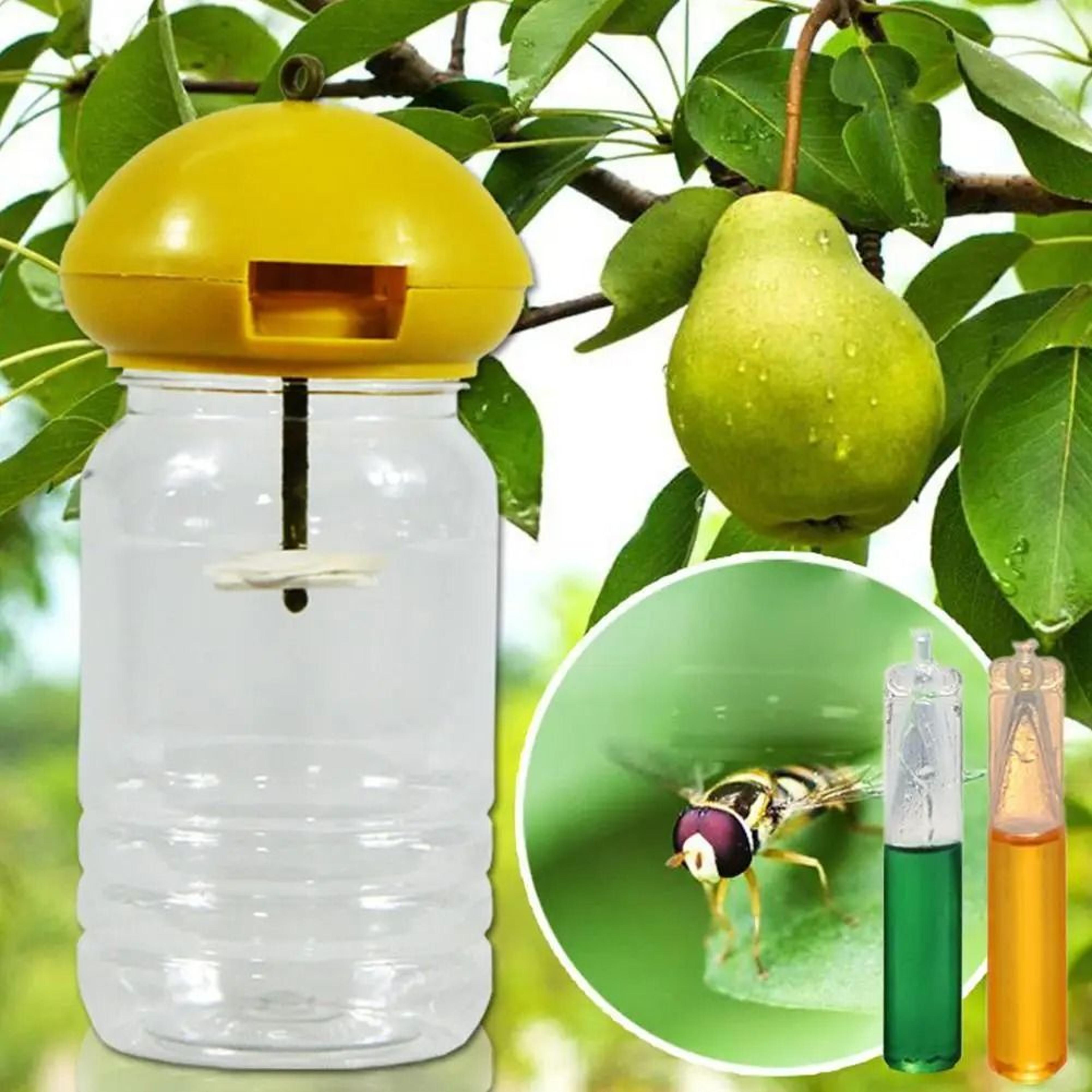 fruit fly attractant liquid for home kitchen pest control