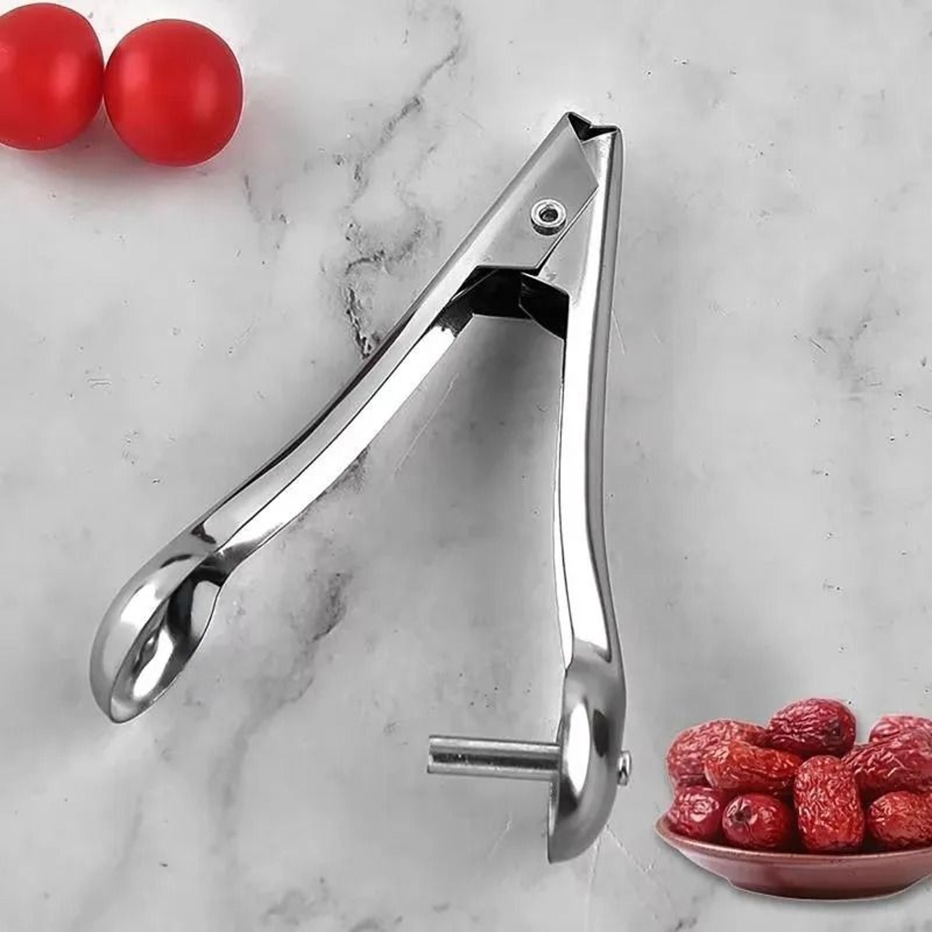 stainless steel olive and cherry pit remover tool