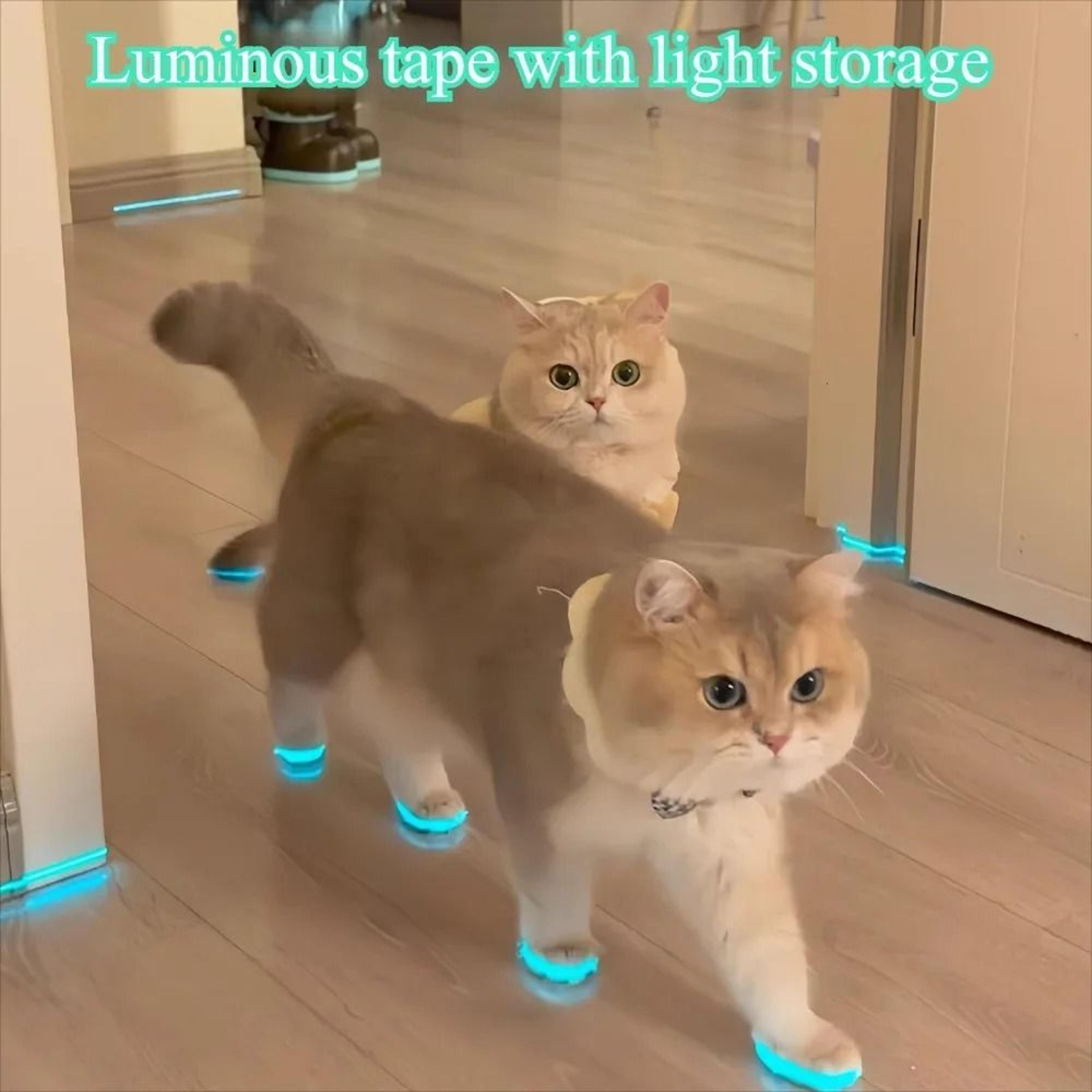cat luminous adhesive tape self luminous fluorescent strips for home and outdoor use