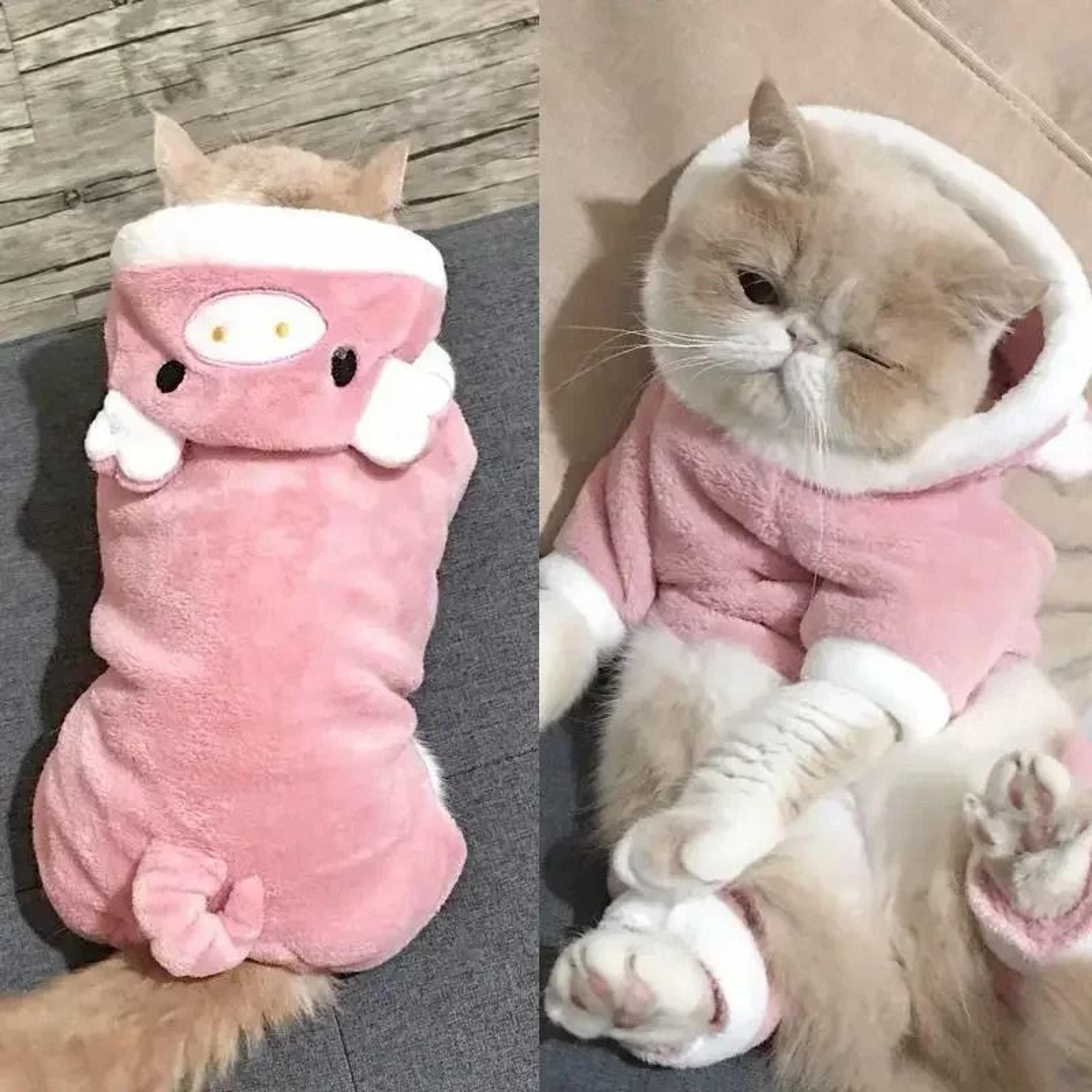 cartoon animal pet jumpsuit pajama for small dogs and cats