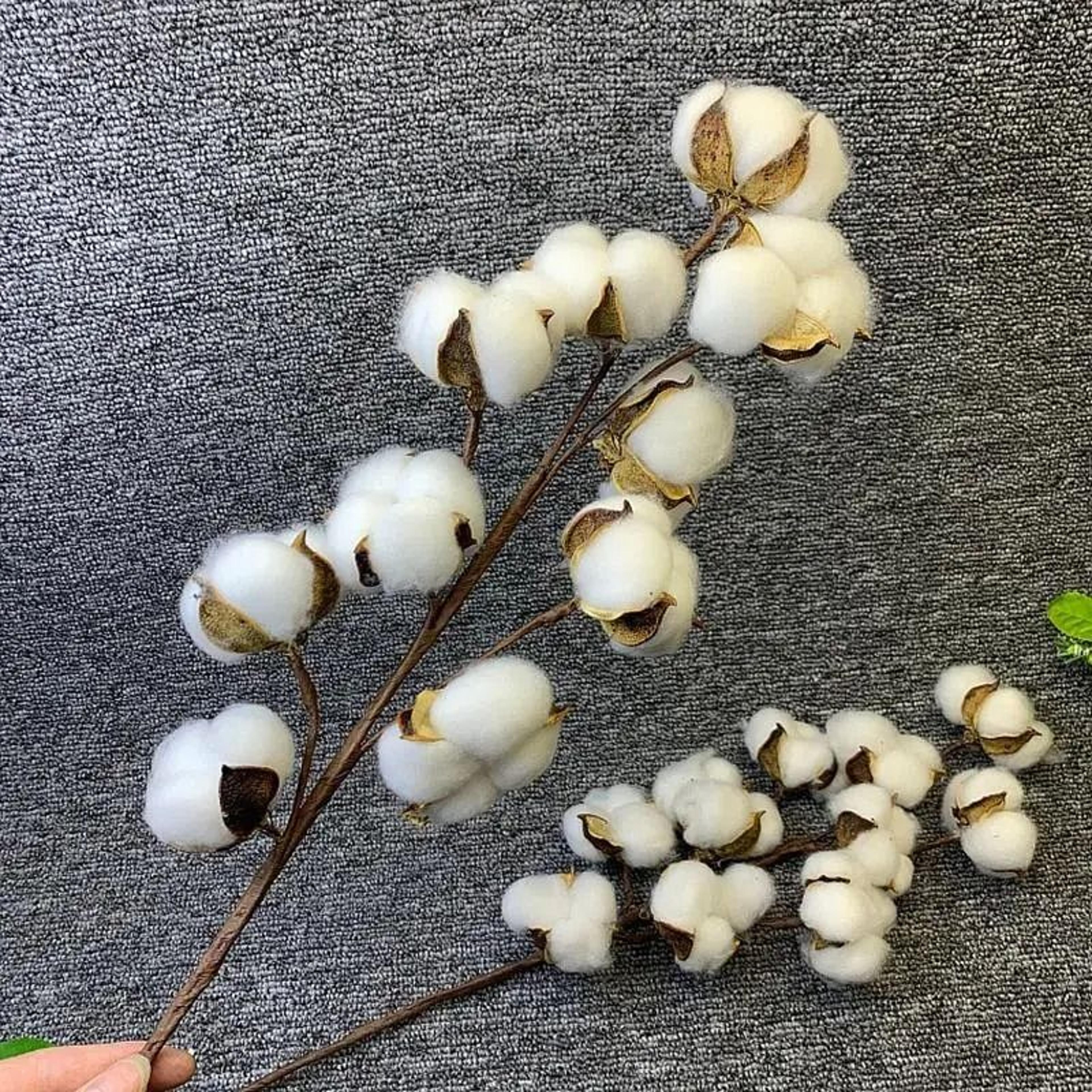 artificial cotton flower branch with eucalyptus leaves home wedding decor