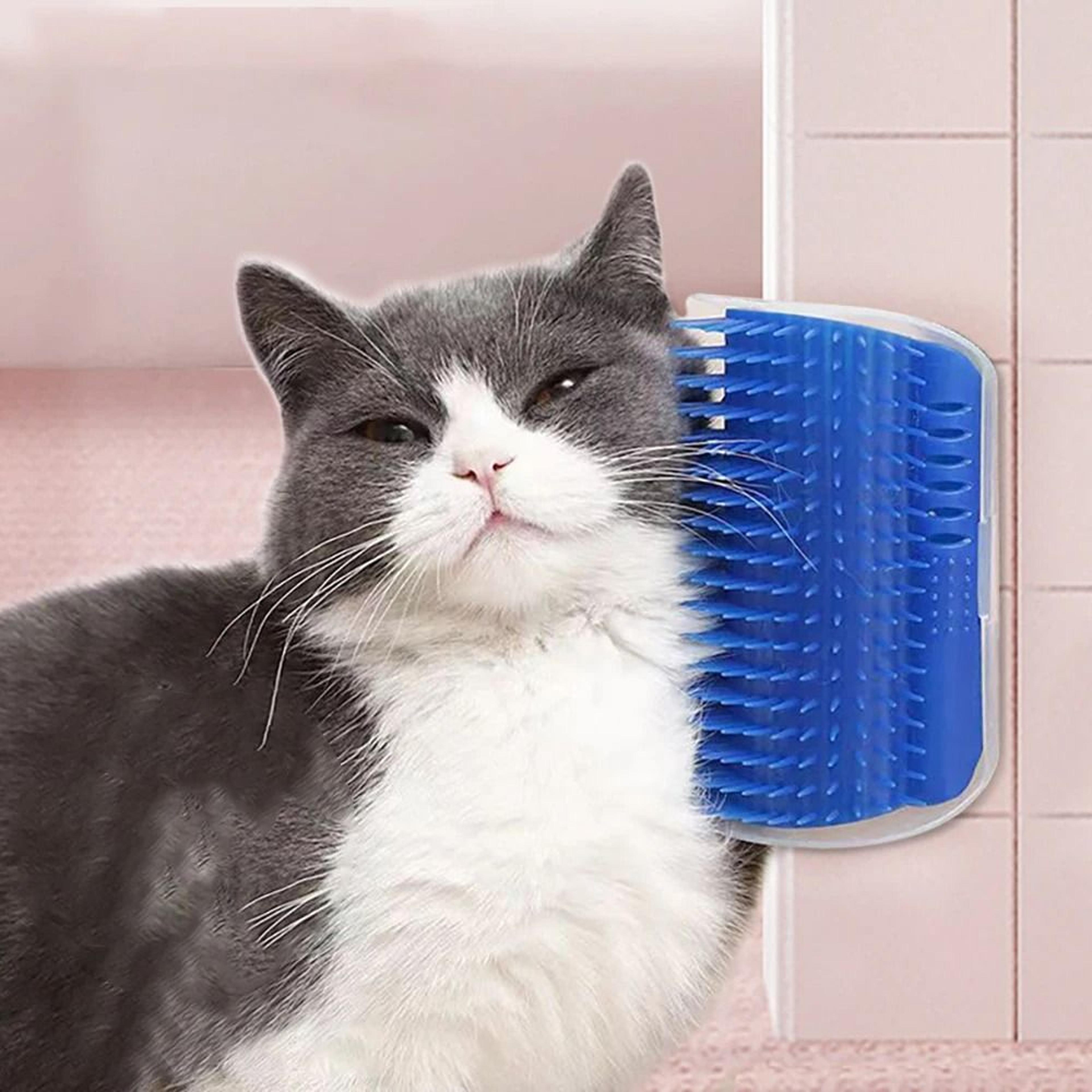 massager for cats pp material pet brush for grooming and hair removal