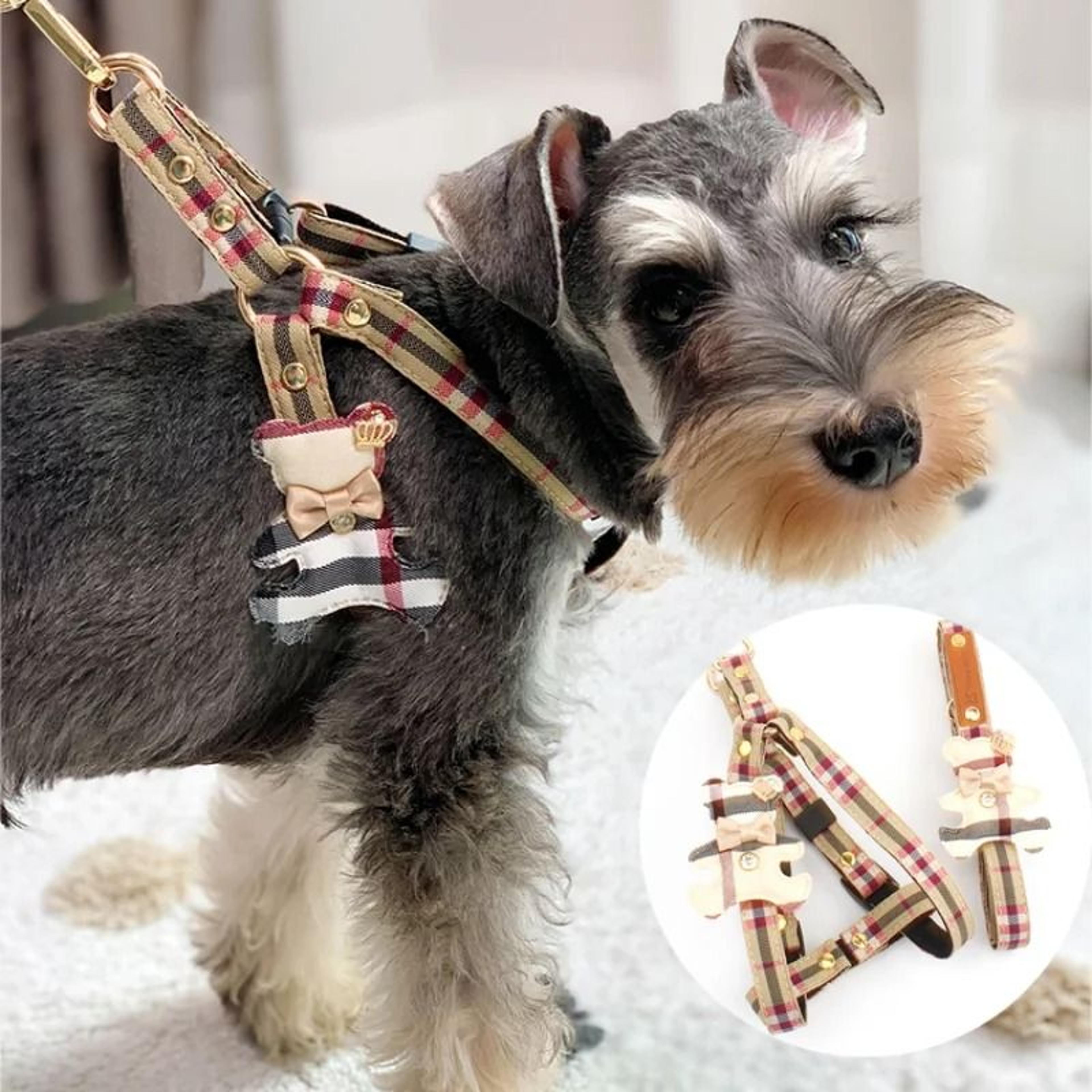 british style pet vest & leash set – elegant dog harness & cat collar 2-piece set