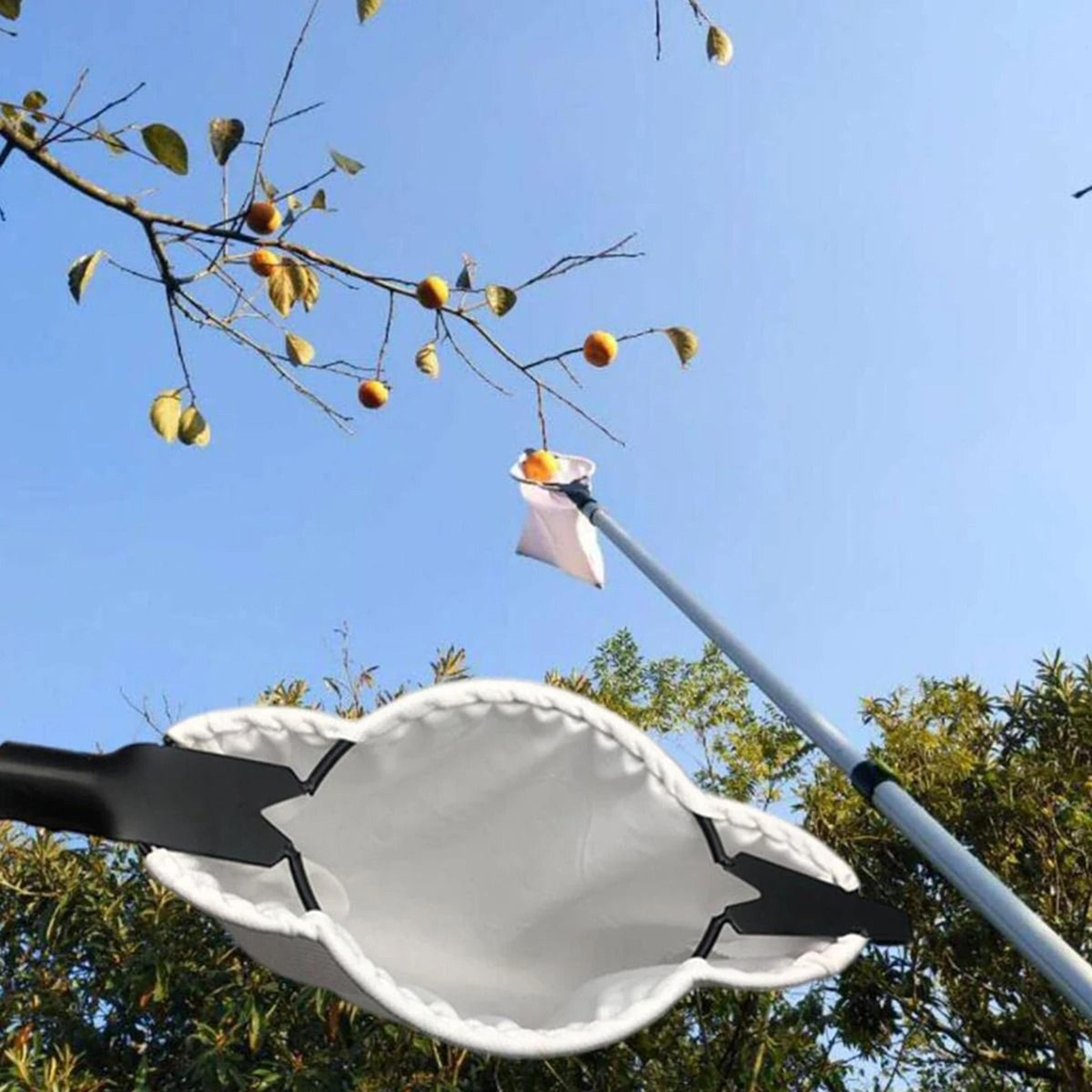 professional fruit picker with collection pouch – high tree harvesting tool for orchards and farms