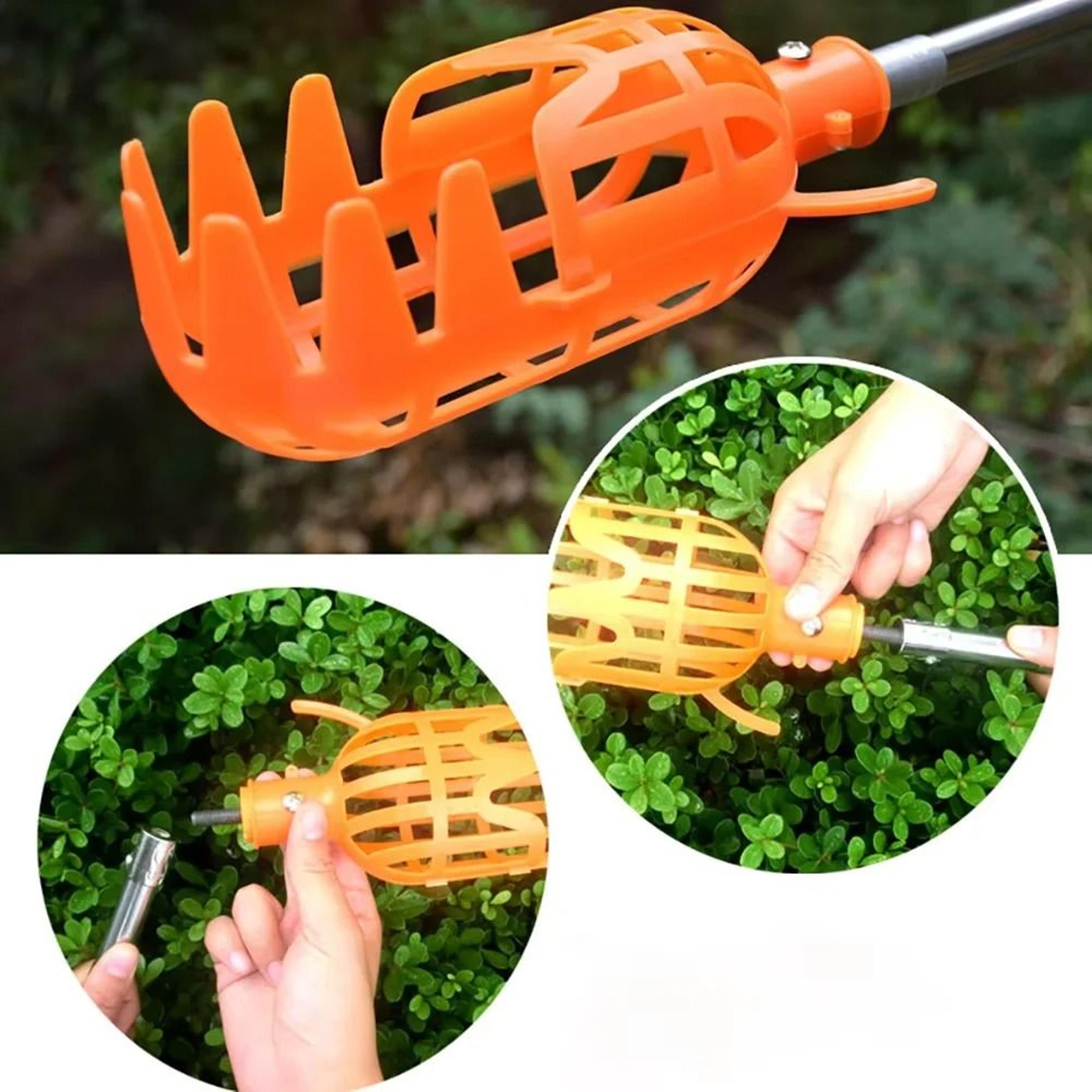 plastic fruit picker catcher – handheld garden harvesting tool for apples, pears, and peaches