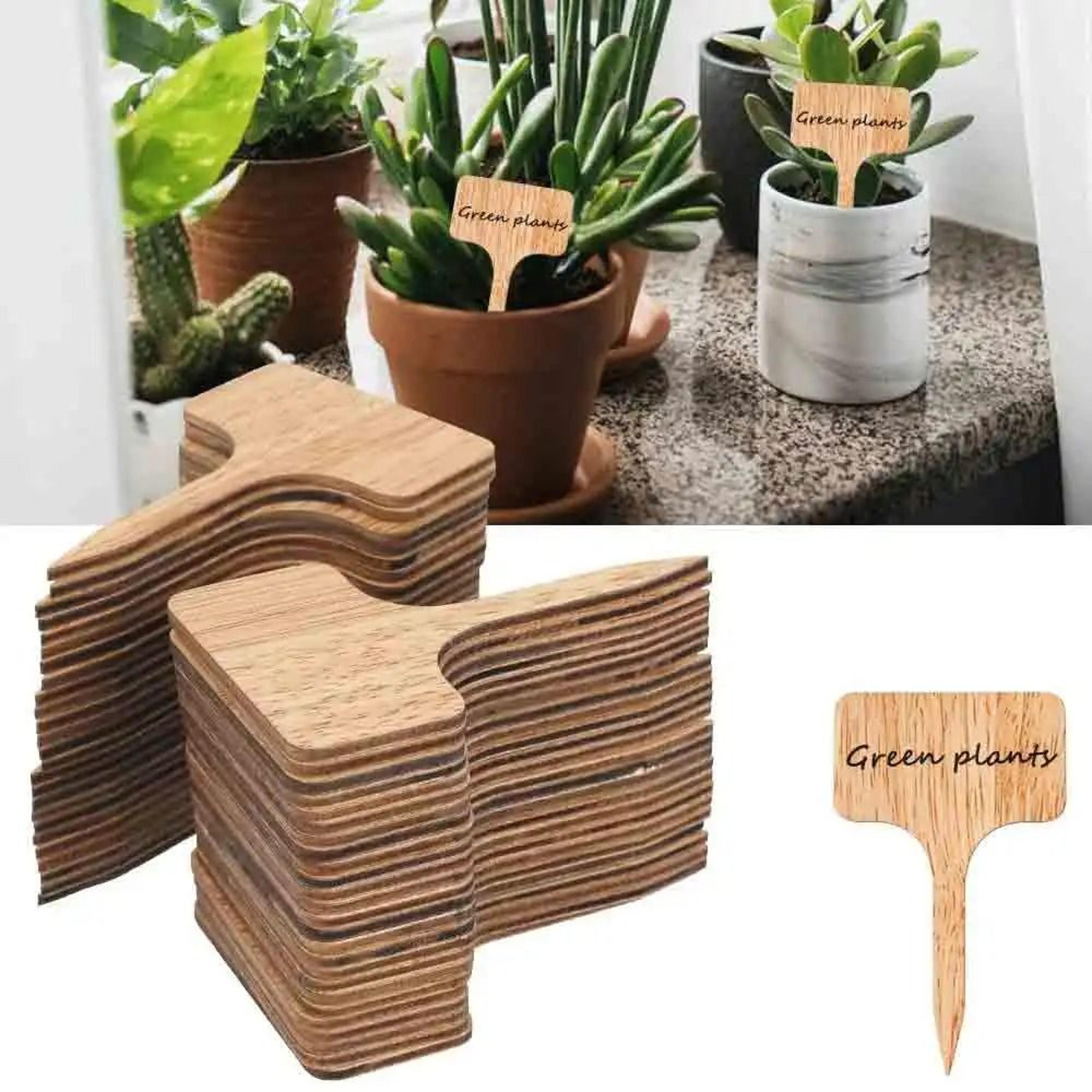 t-type bamboo plant labels eco-friendly wooden garden markers for bonsai and herbs