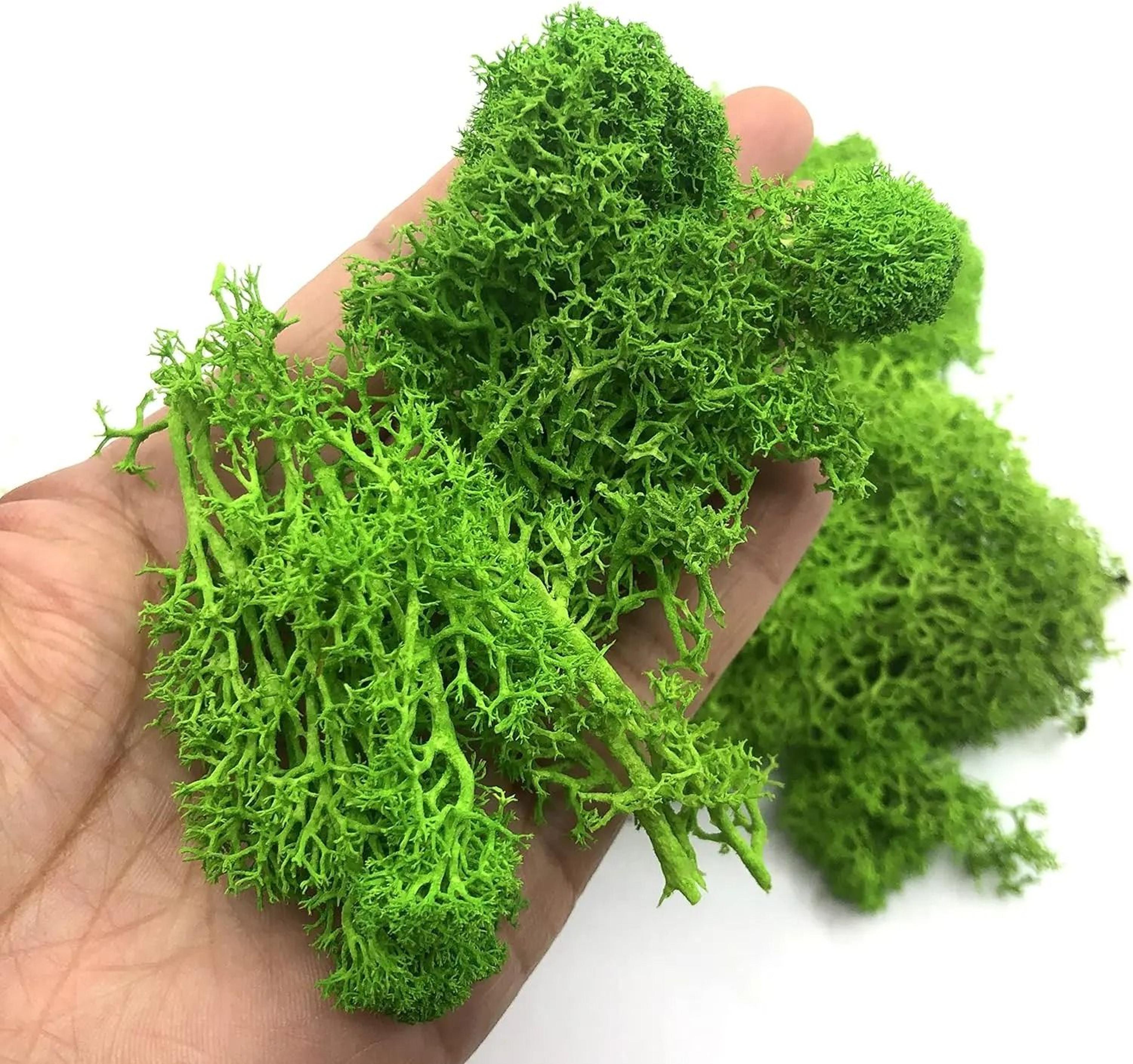 artificial green plants eternal life moss for diy crafts and home decor