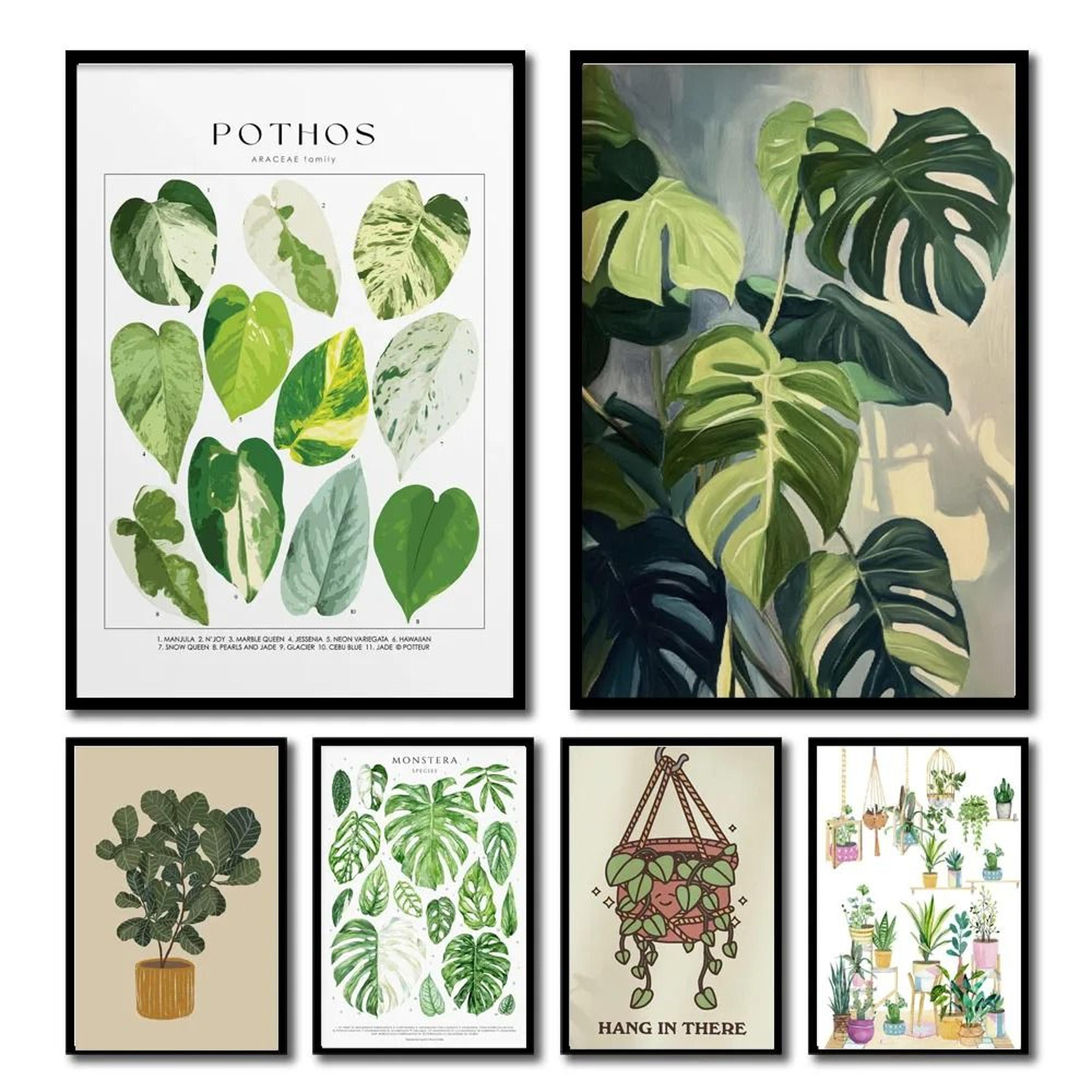 botanical green houseplant canvas art | calming nature indoors interior print