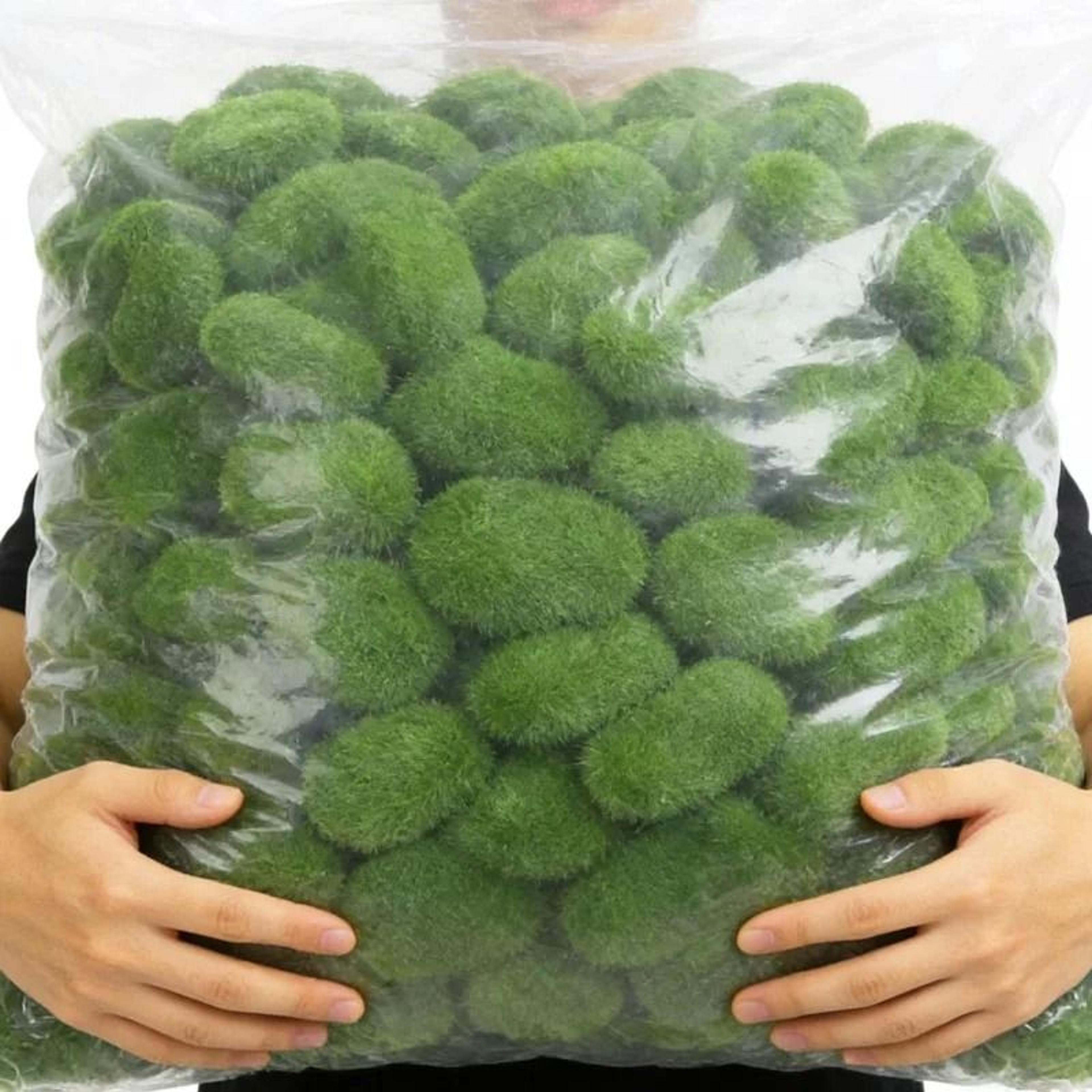 artificial green moss rocks | realistic simulation stone balls | professional botanical garden & home decor