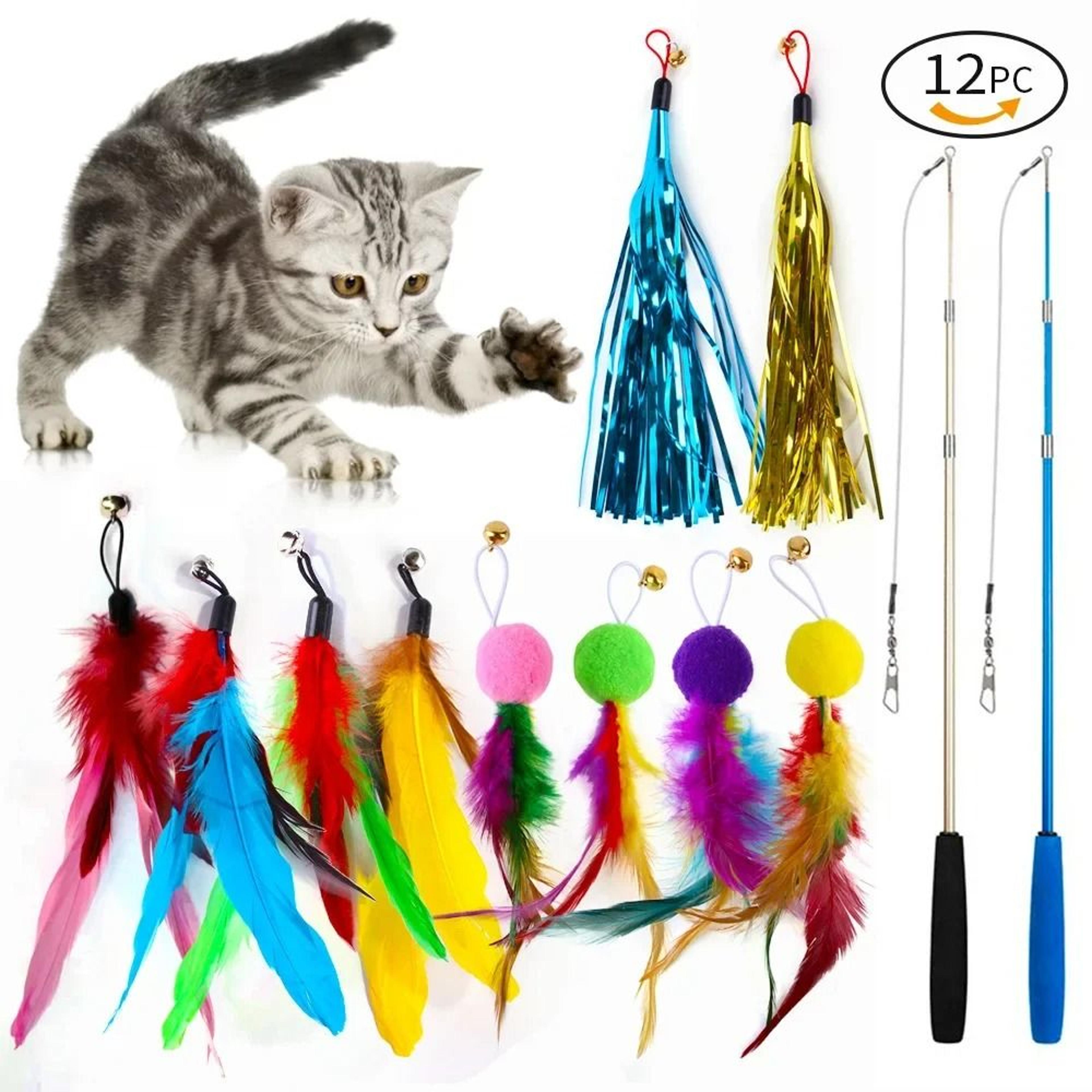 professional 12-piece "angler" interactive teaser set
