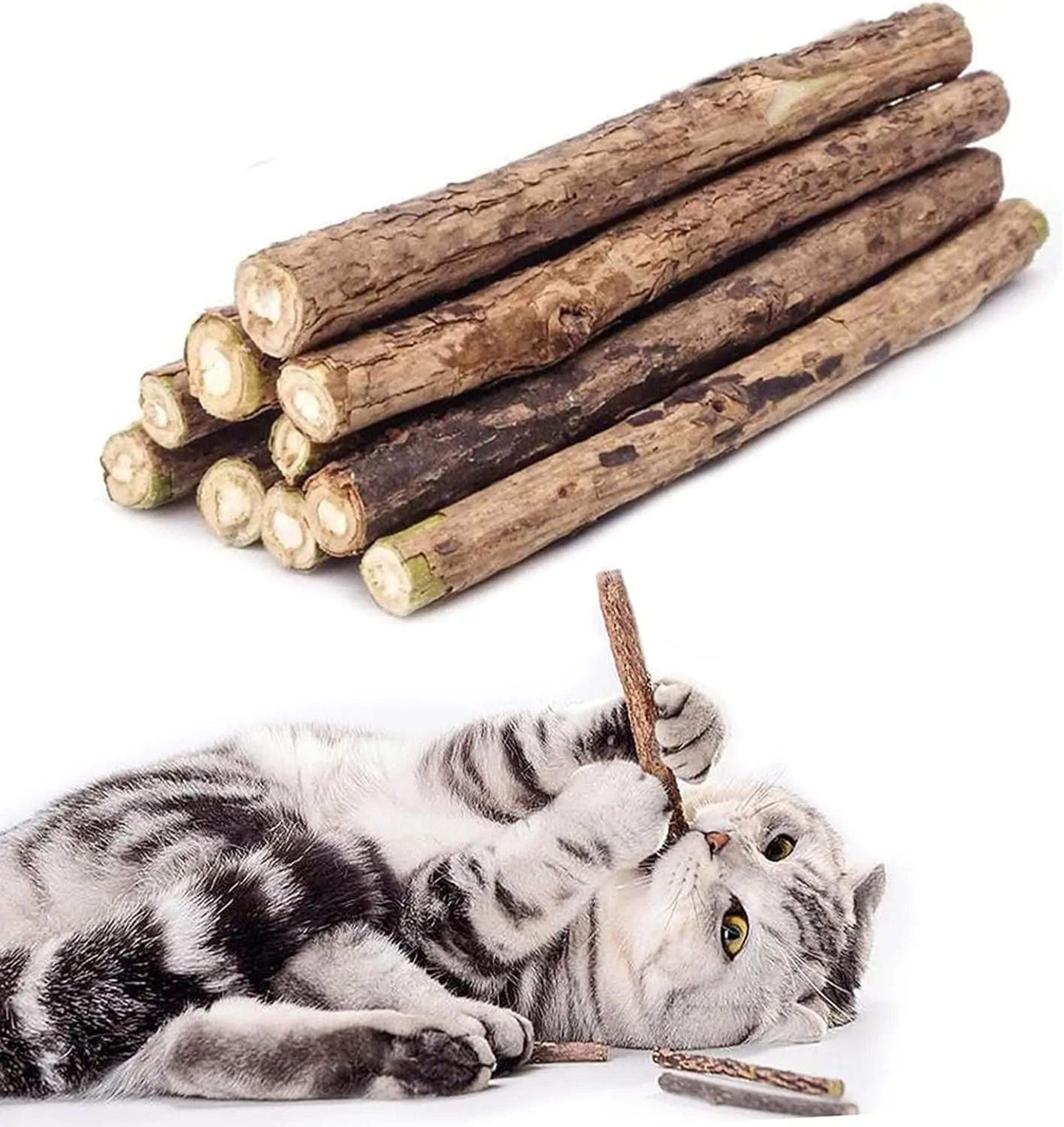 natural silvervine & catnip "oral-care" chew sticks