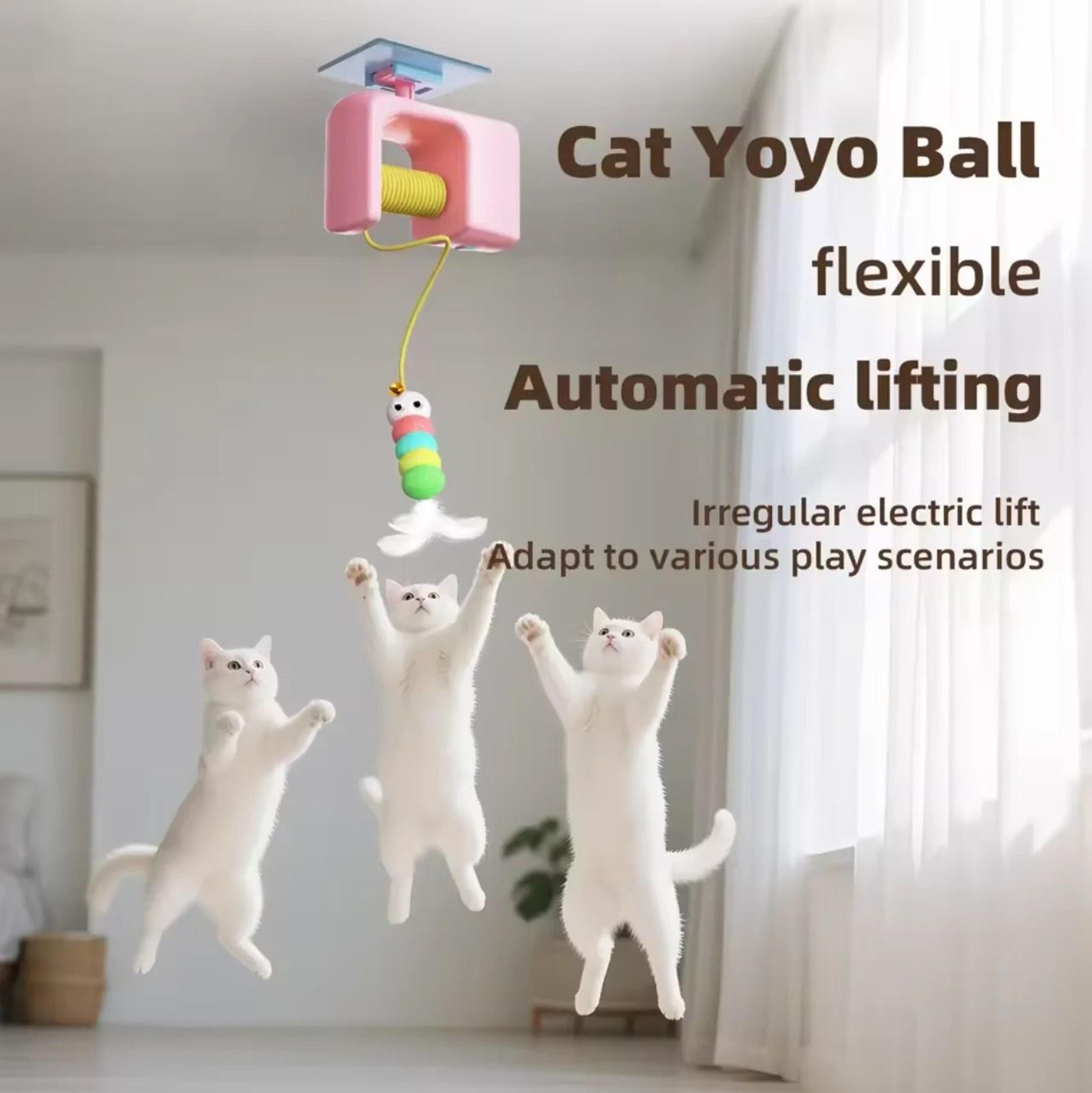 hanging automatic electric teaser toy