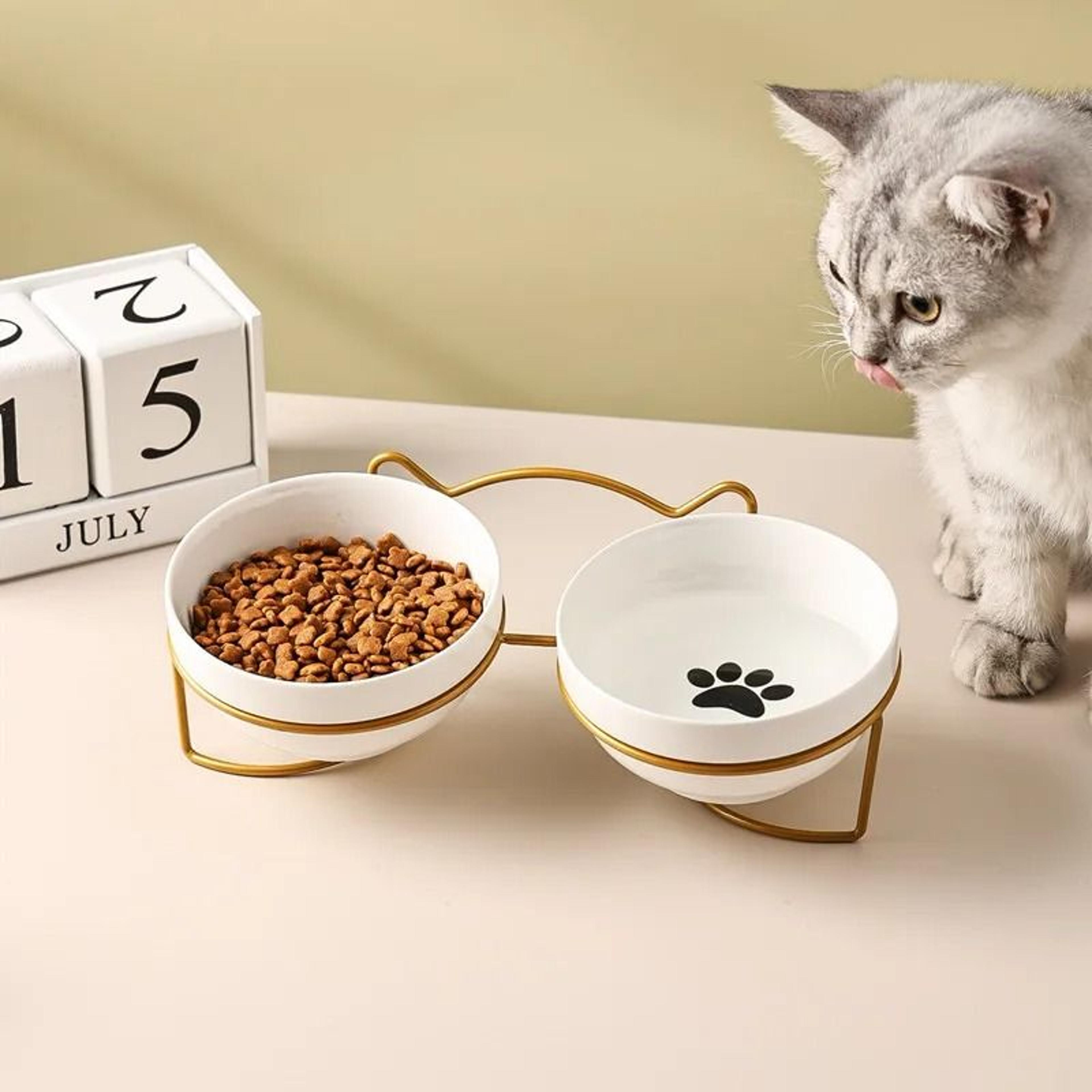 aero-gold elevated ergonomic ceramic pet station