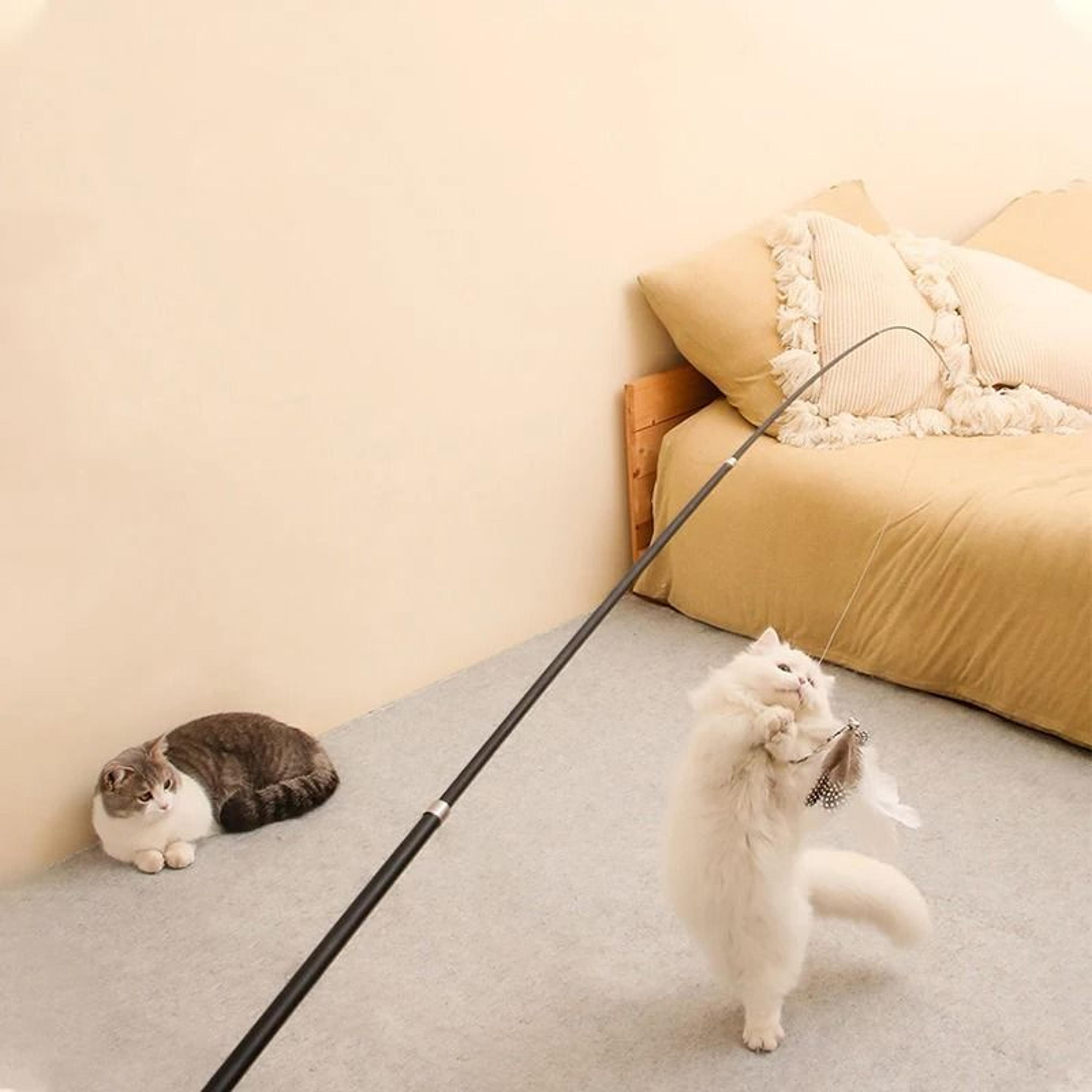 extended telescopic extra-long cat teaser wand