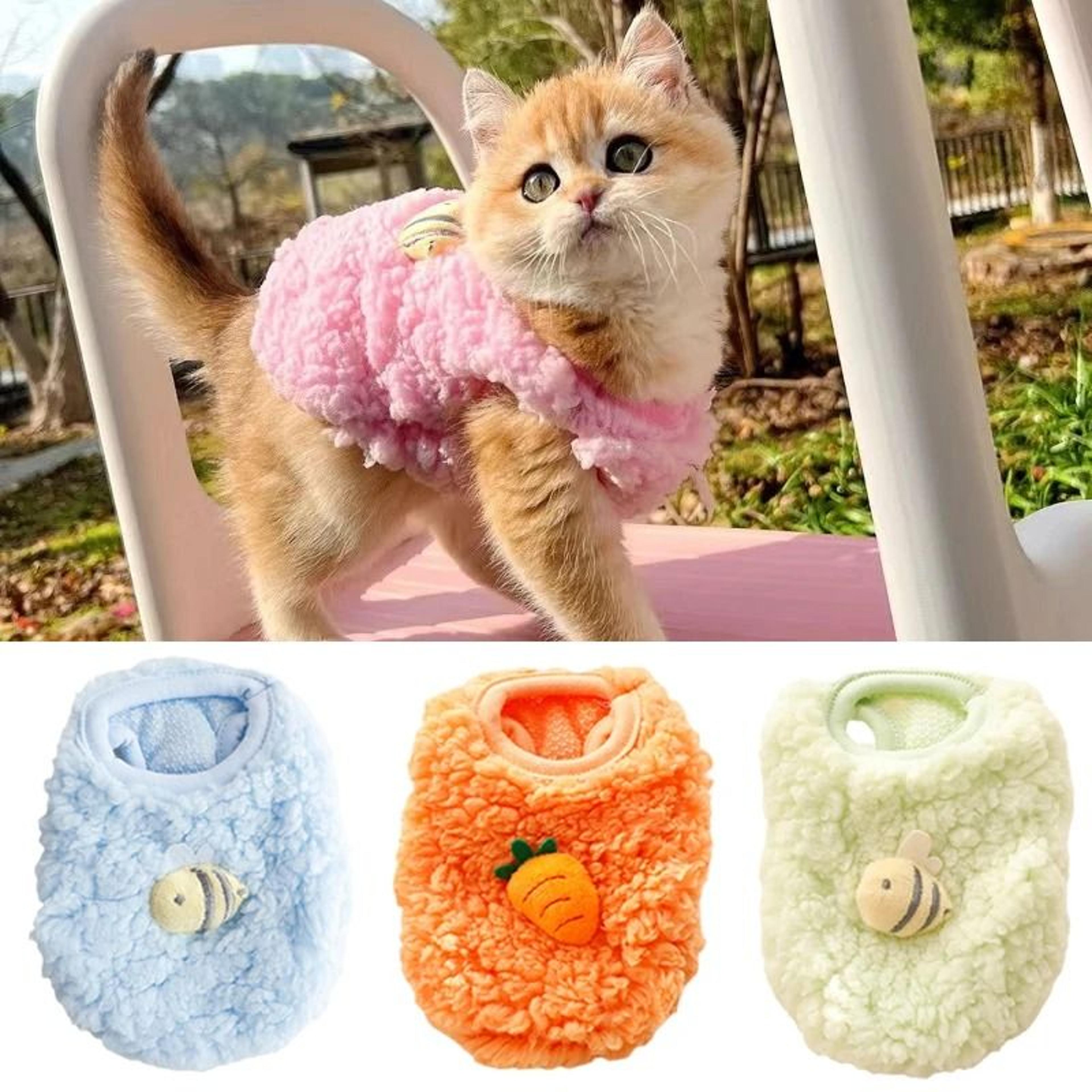 newborn kitten velvet winter warm pet sweater