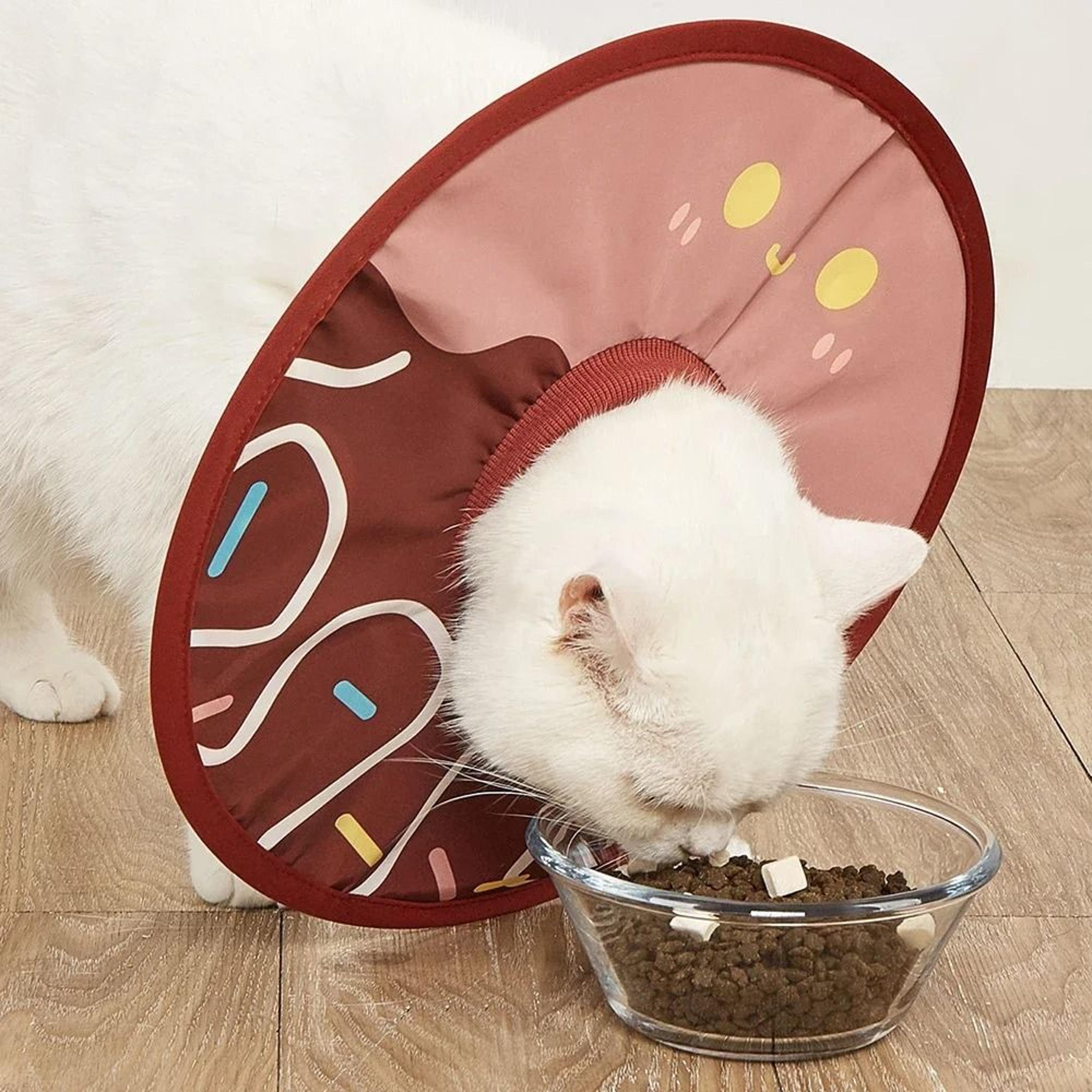 sunflower shaped soft cat recovery elizabethan collar