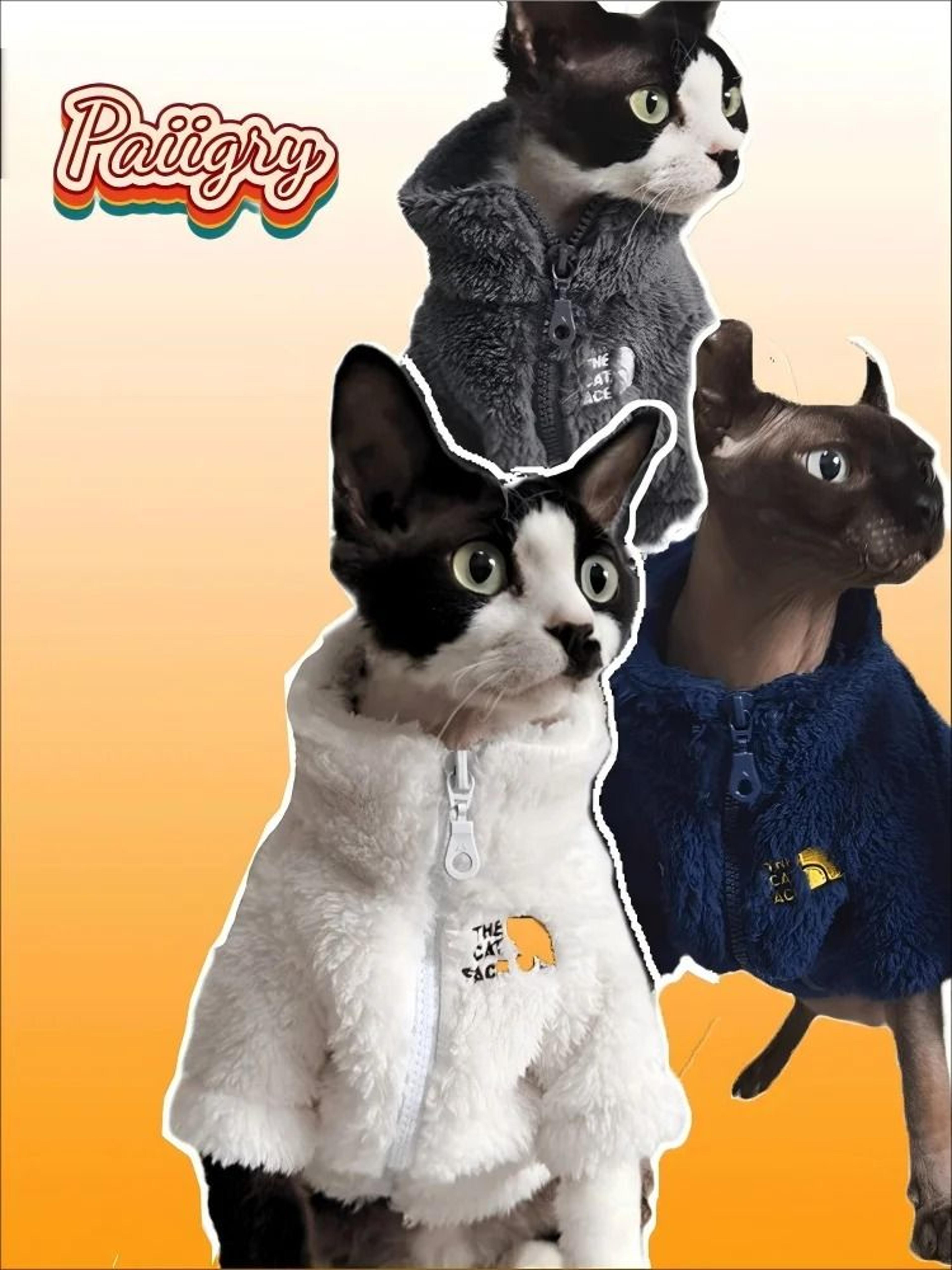 thick winter warm lambswool coat for hairless cats and small dogs