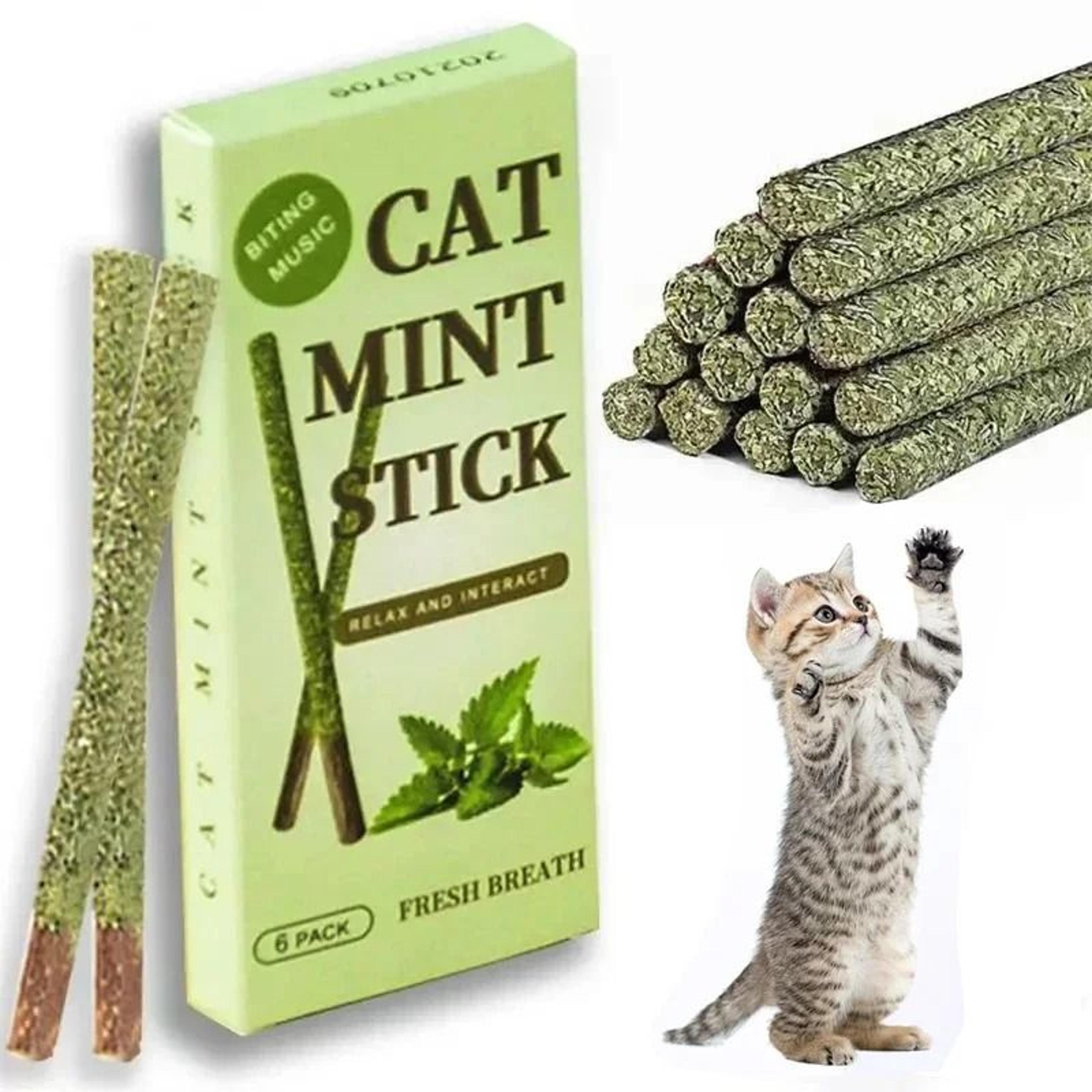 6pcs natural matatabi silvervine cat mint chew sticks