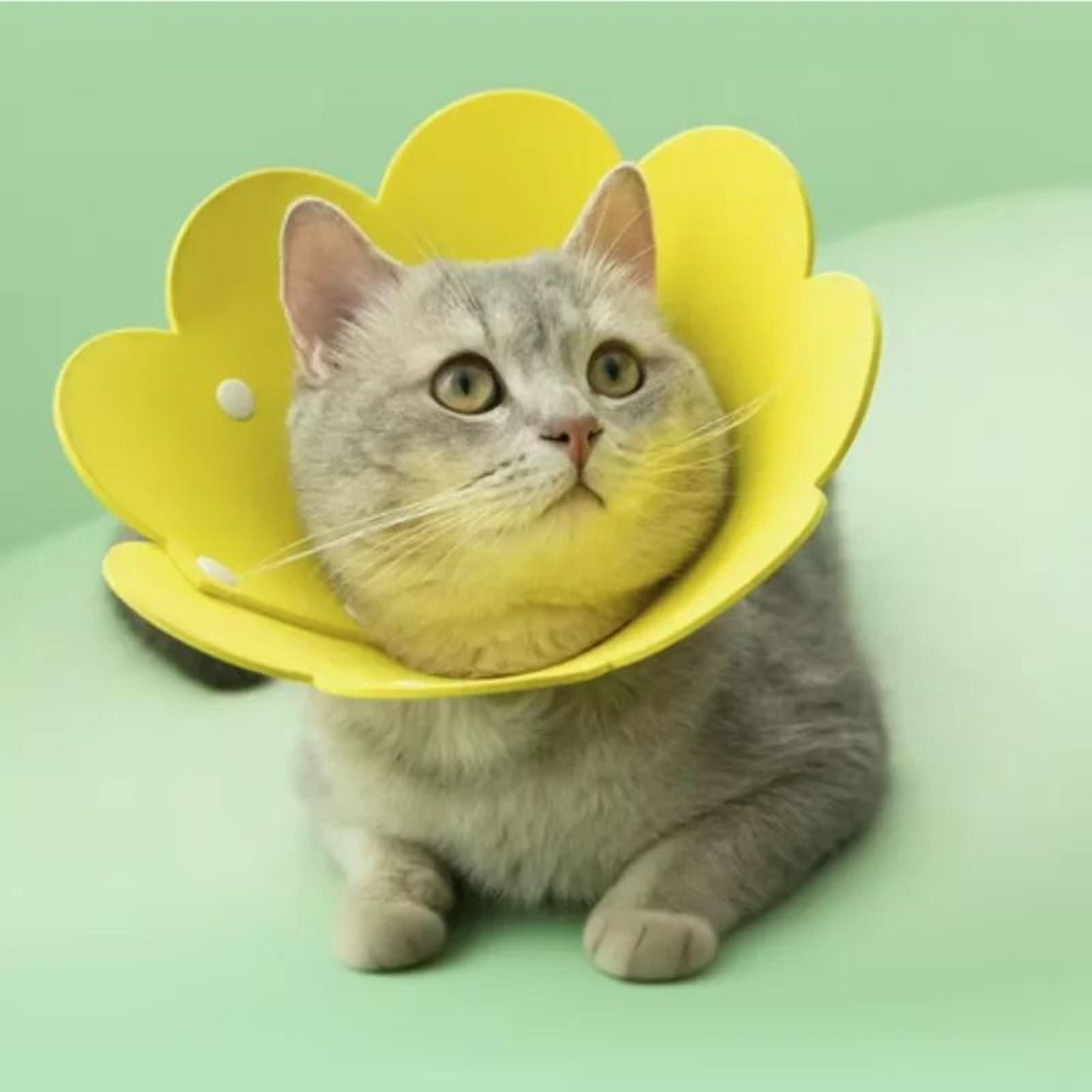 cute flower-shaped adjustable elizabethan recovery collar