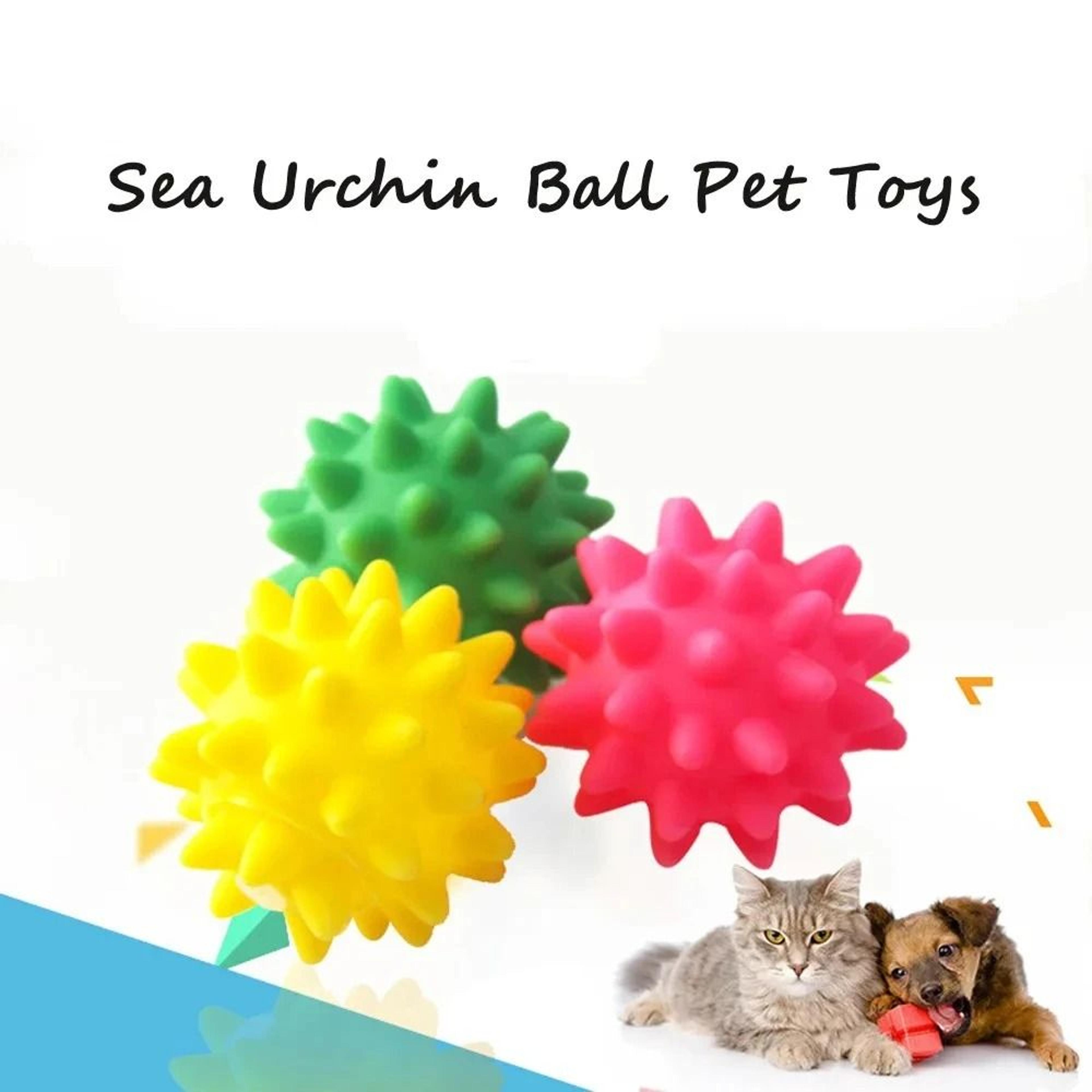 sea urchin ball pet sound toy set for dogs and cats