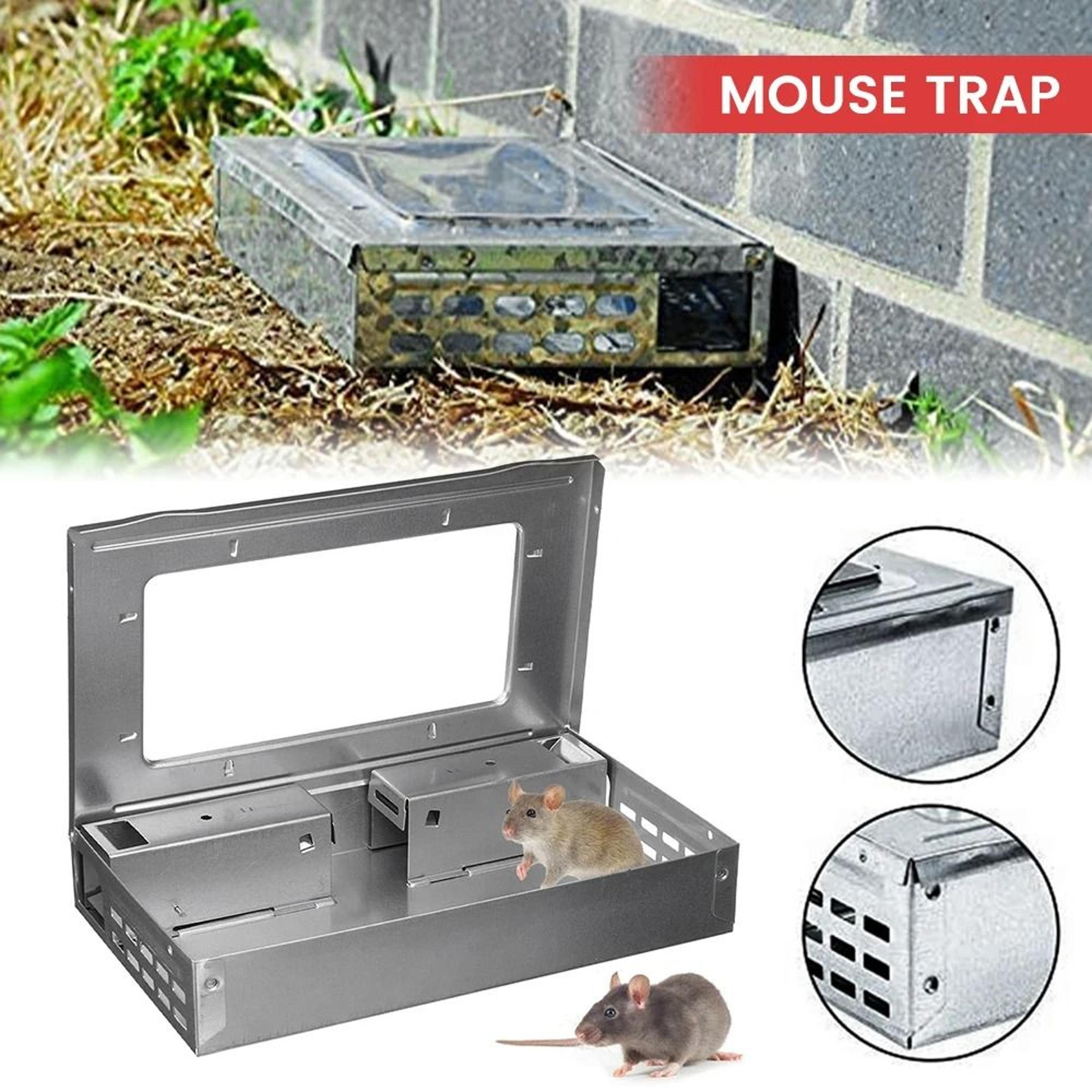 humane self-catching reusable mouse trap with protective cover