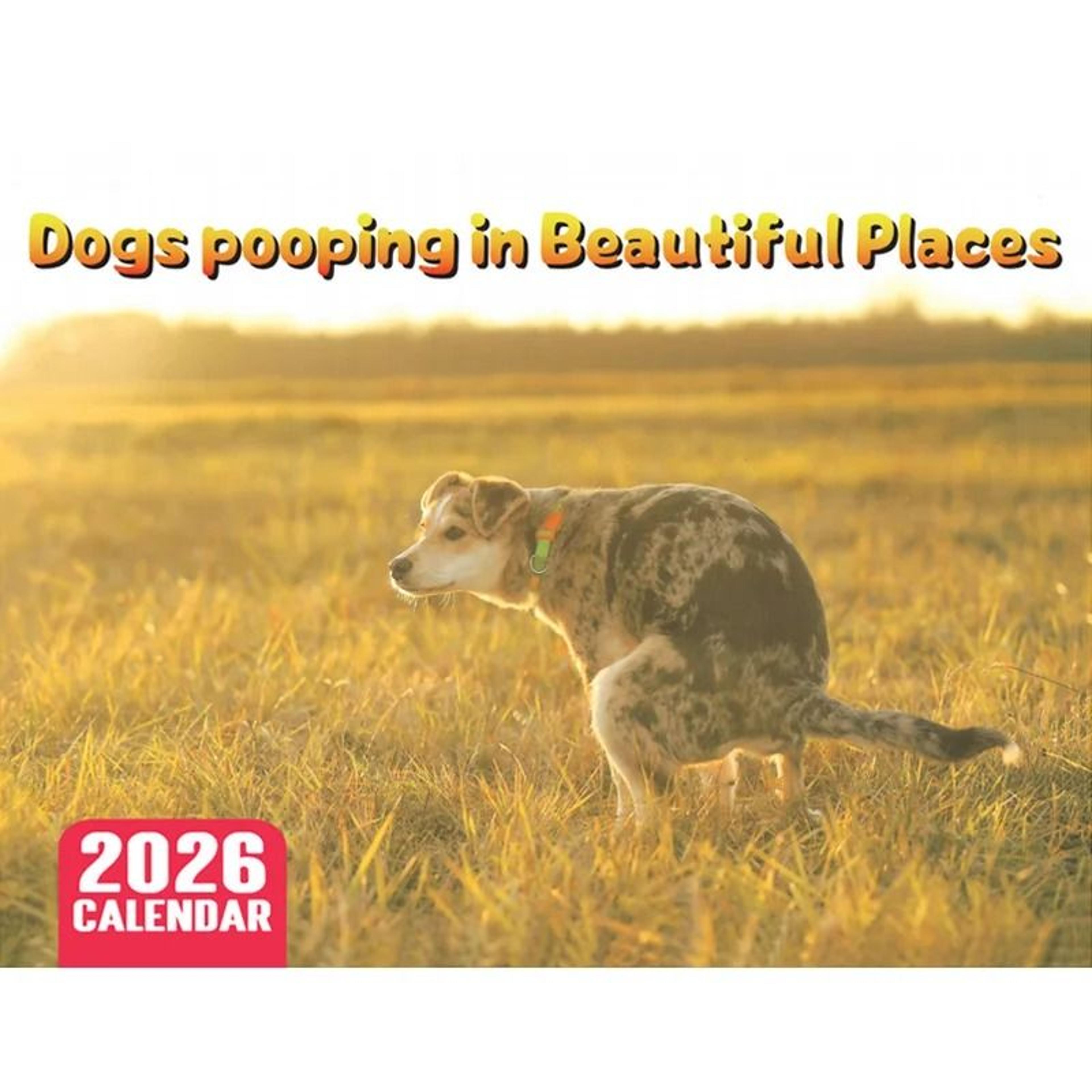 2026 pooping dog calendar year monthly planner schedule organizer wall calendar