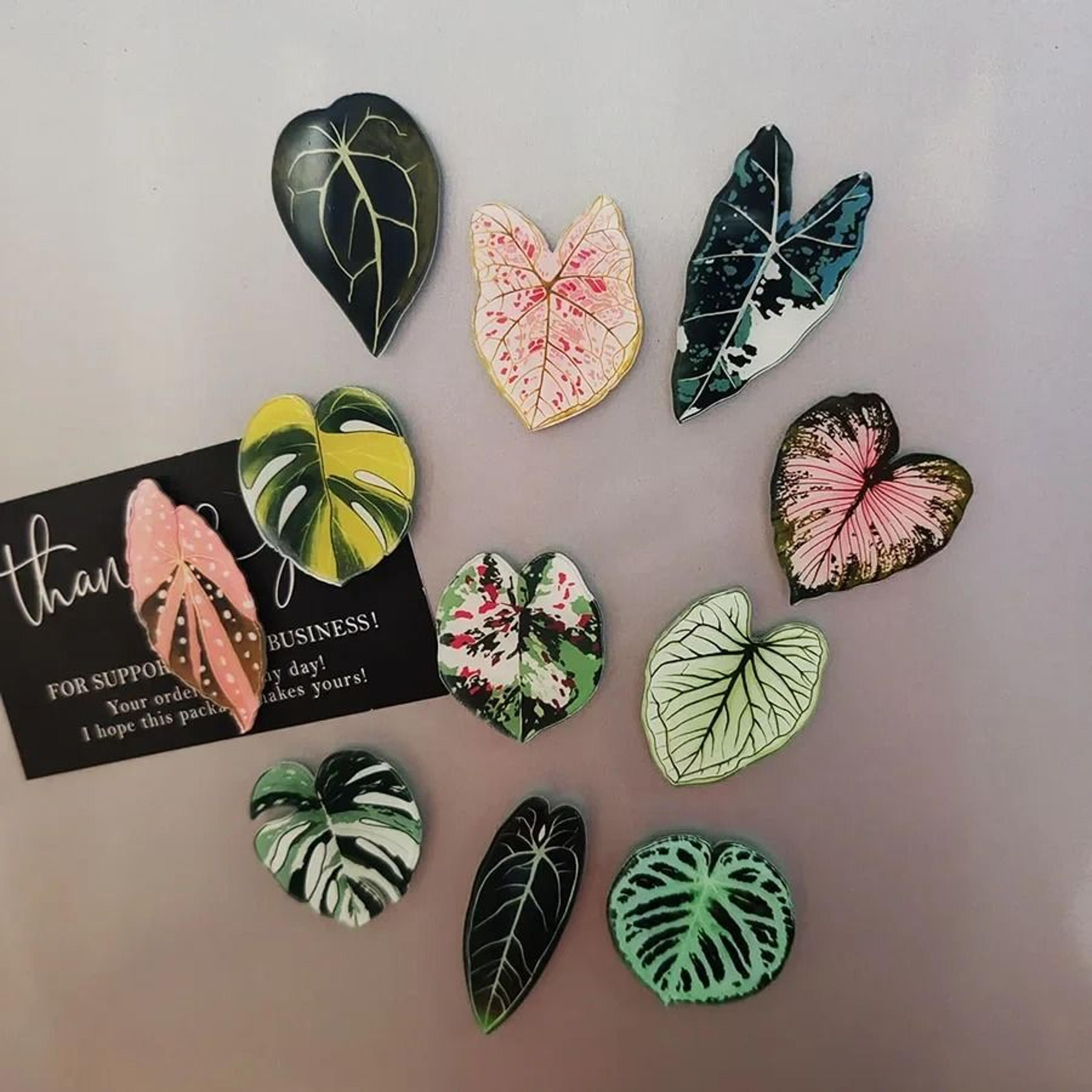 6pcs begonia monstera magnetic refrigerator magnets tropical plants