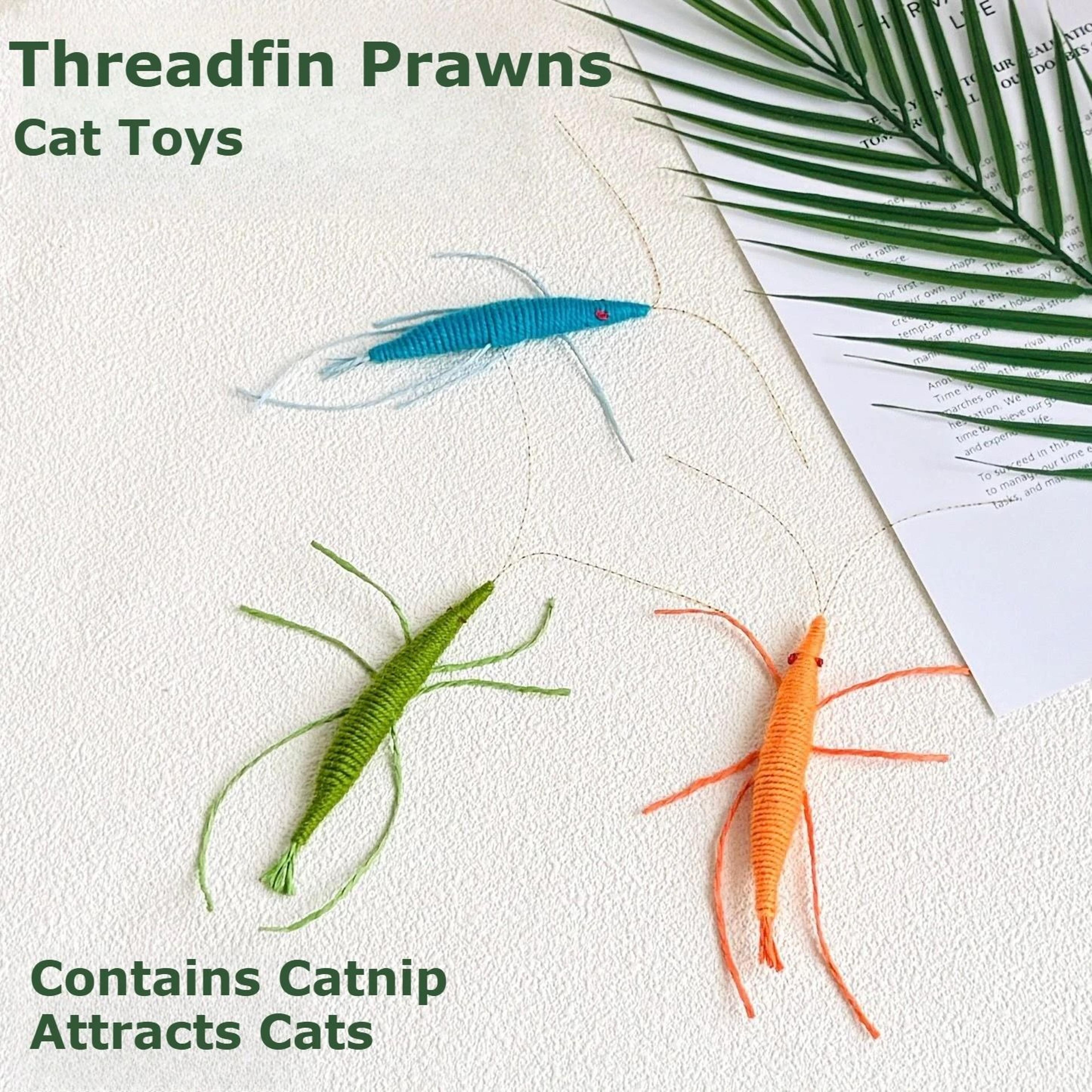 woolen prawn catnip-infused simulated insect chew toy