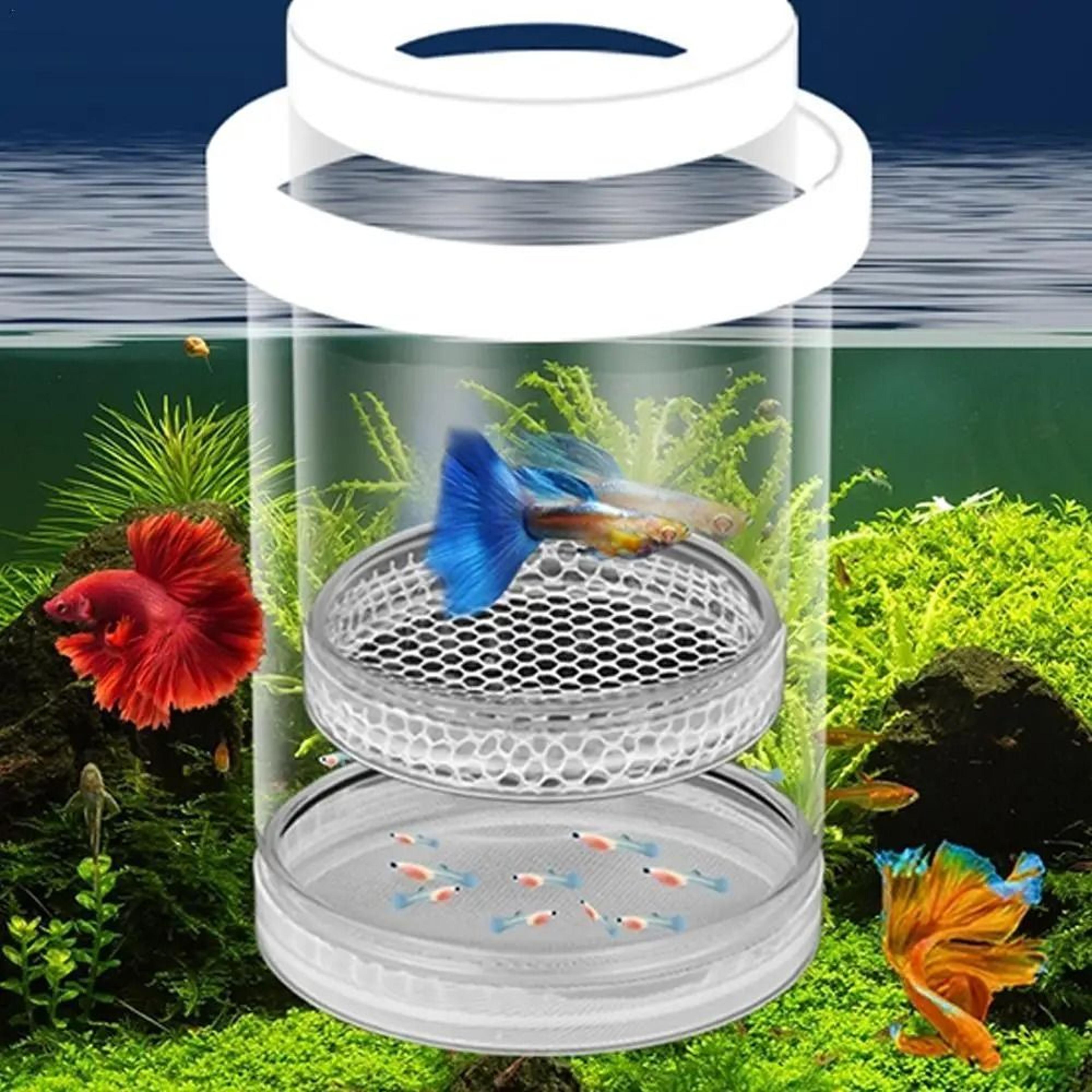 1pc floating fish breeding isolation box - aquarium hatching incubator & birthing room