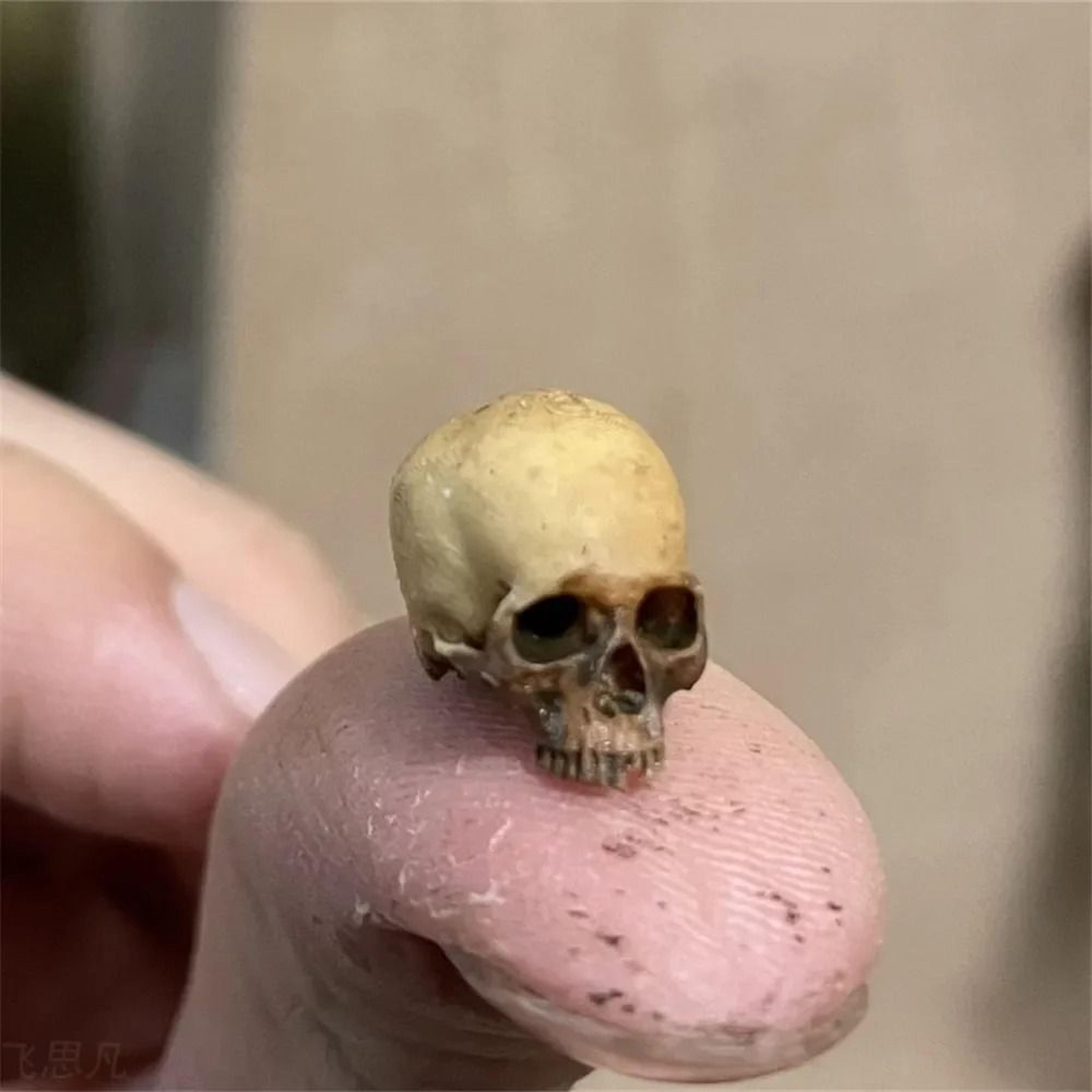 mini skull miniature model figurine for halloween home decor dollhouse plant
