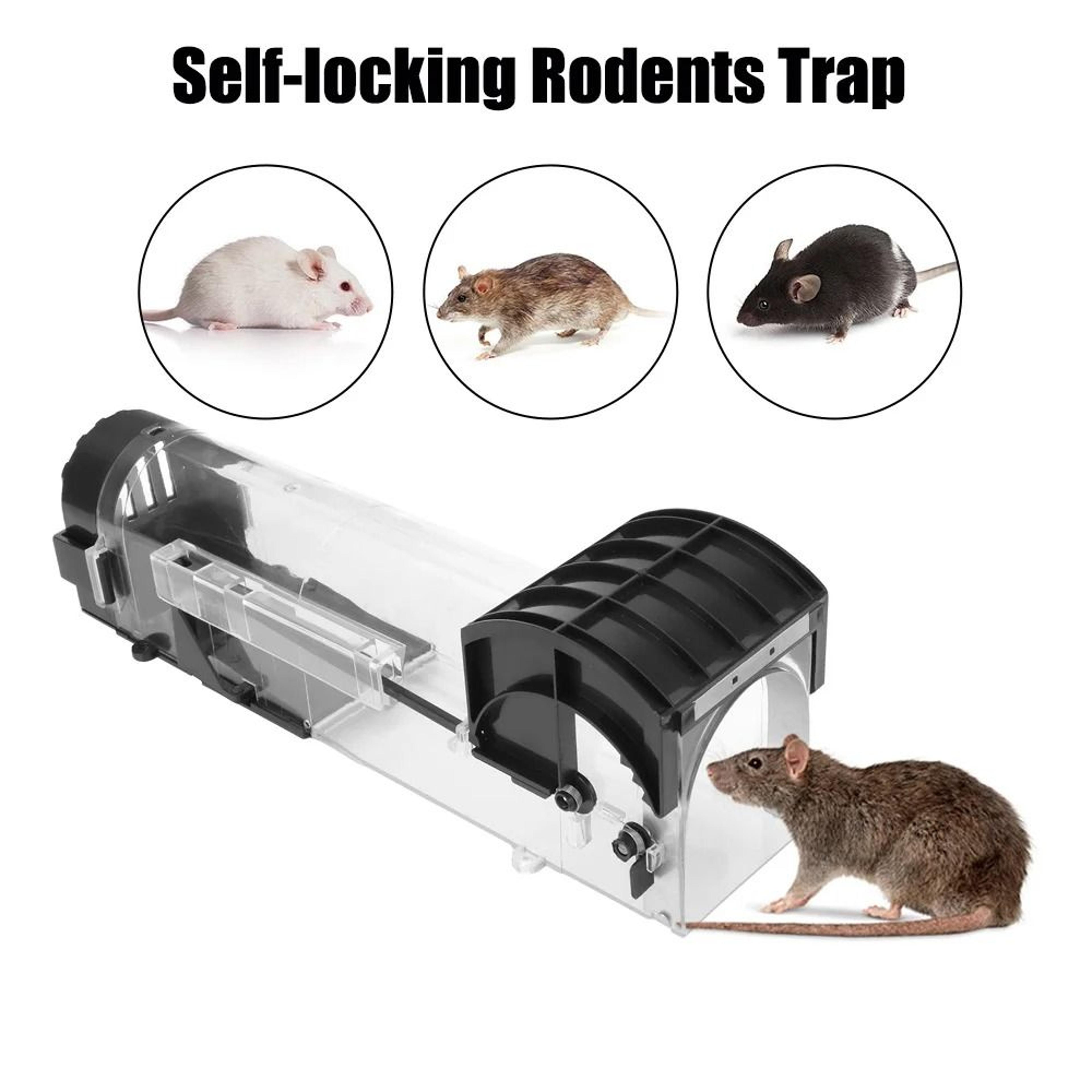 reusable humane plastic mouse trap safe self-locking smart rodent catcher
