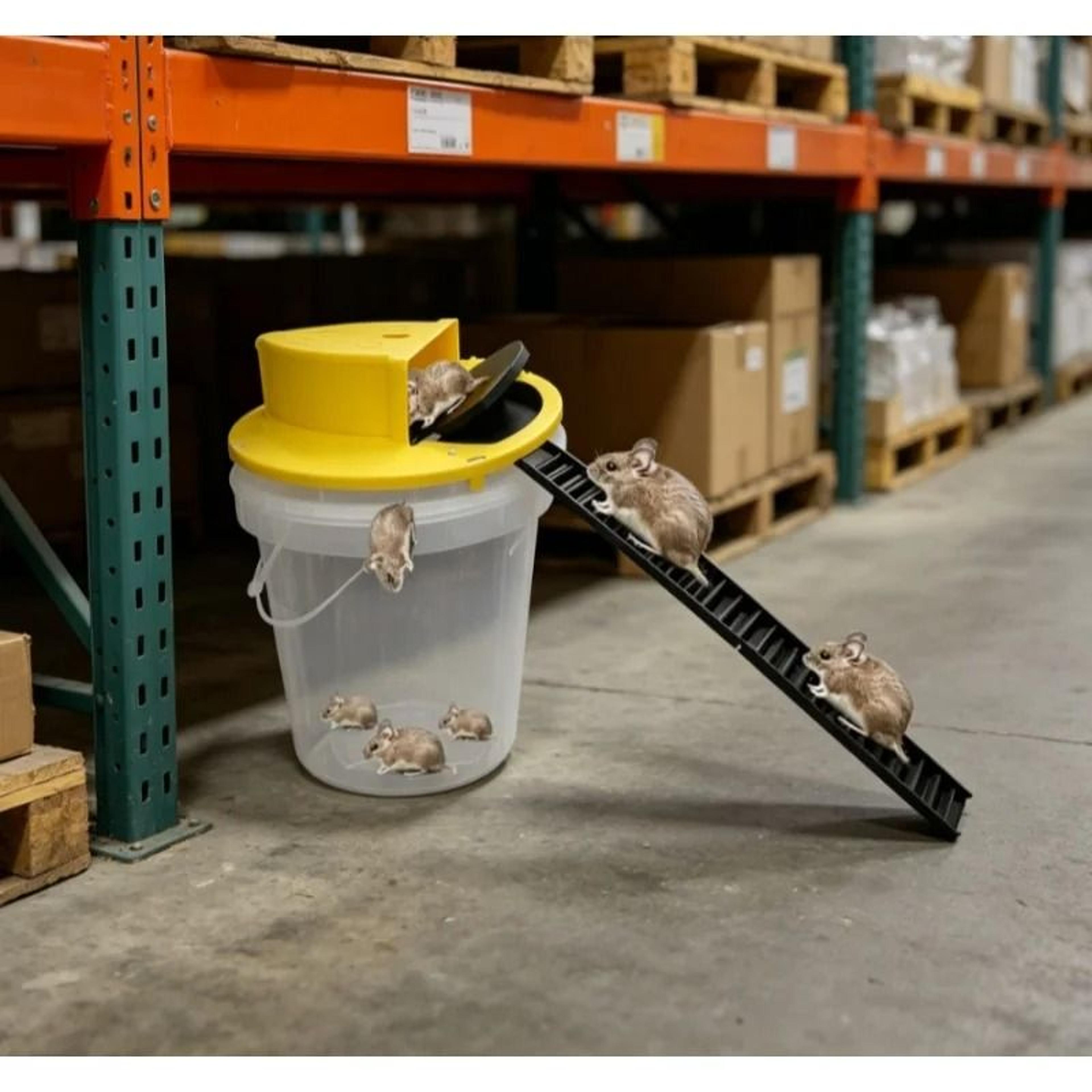 intelligent flip slide bucket lid mouse trap automatic reset rodent catcher
