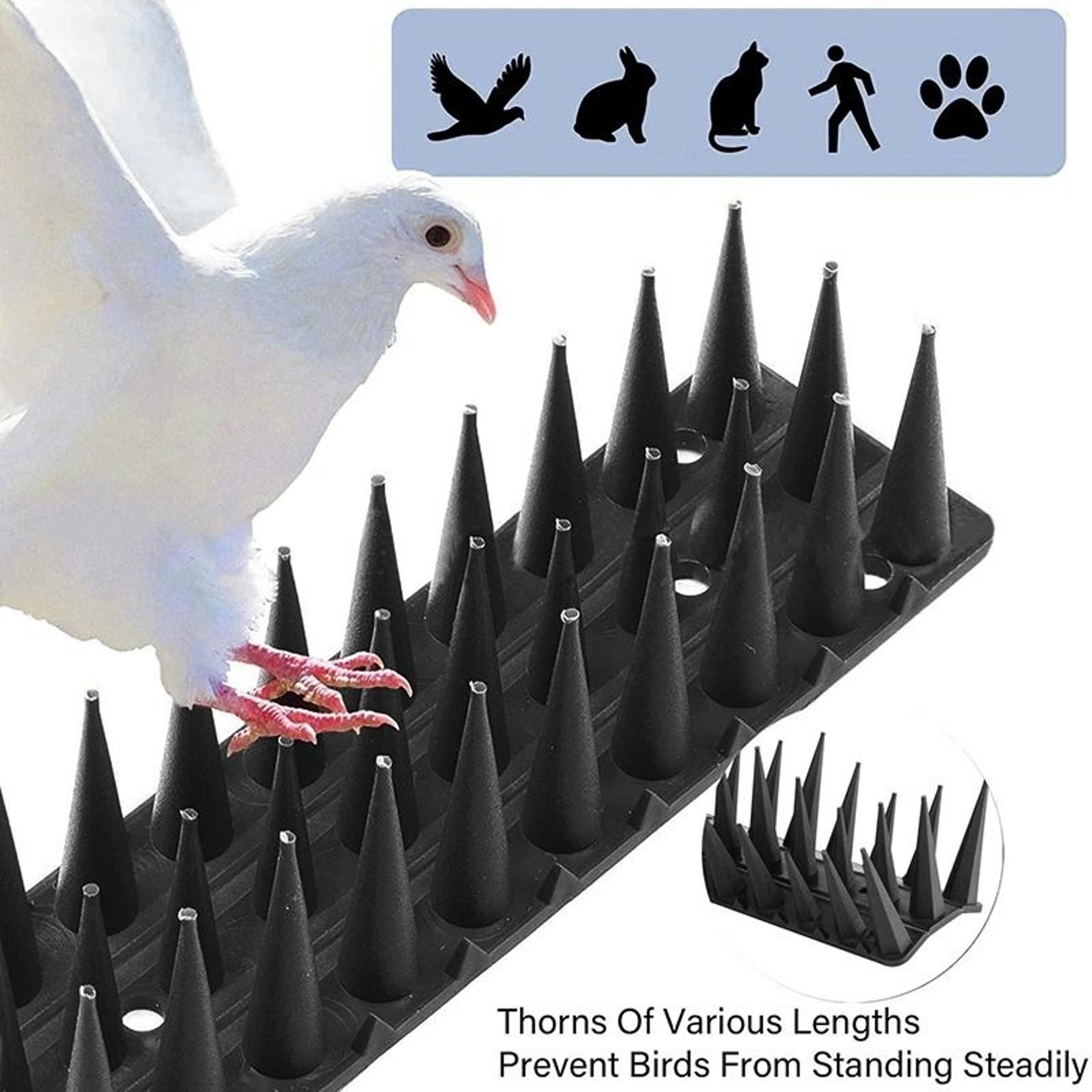 stainless steel anti-bird spikes repeller deterrent pigeon control nails